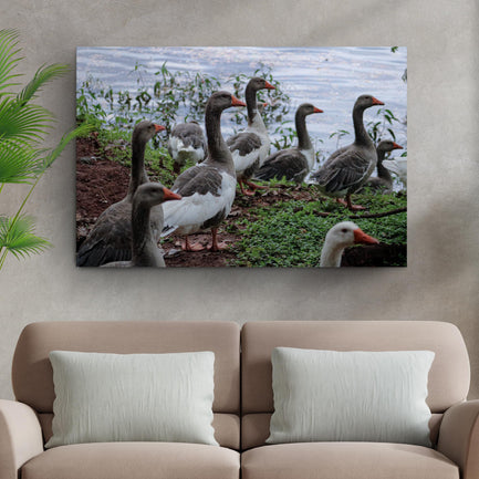 Flock Of Domestic Geese Canvas Wall Art - Image by Tailored Canvases