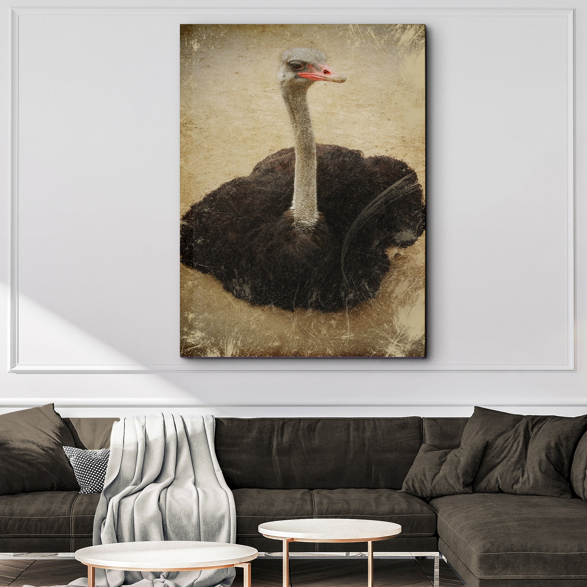 Vintage Ostrich Portrait Canvas Wall Art - Image by Tailored Canvases