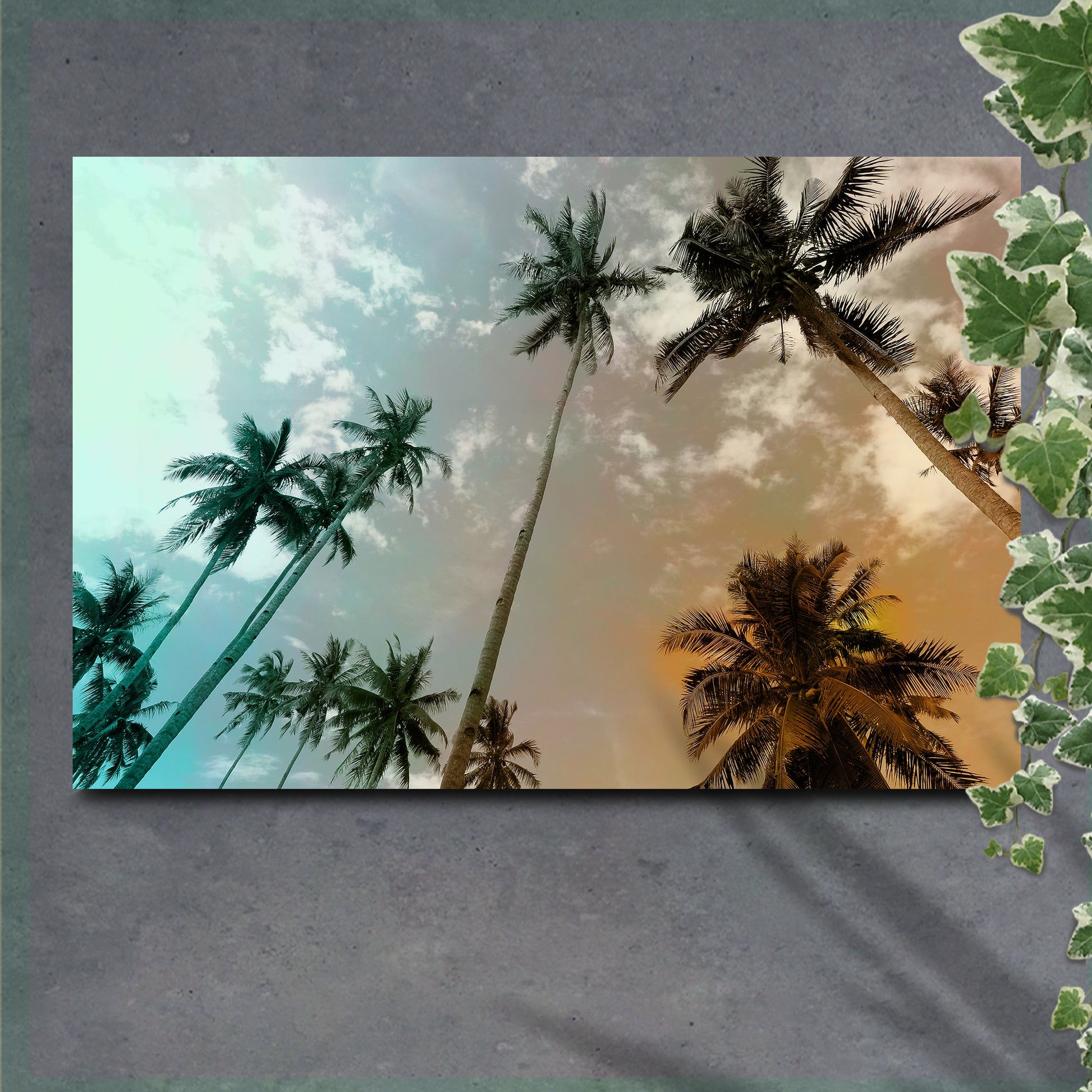 Palm Trees Canvas Wall Art - Image by Tailored Canvases