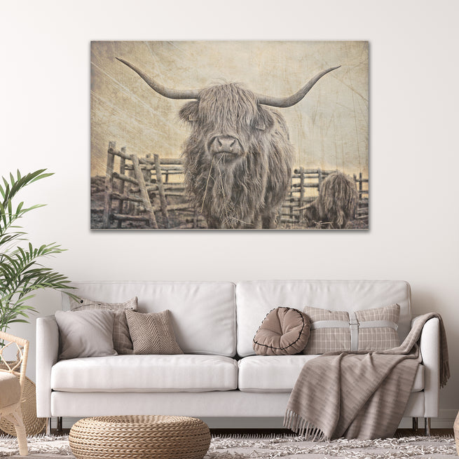 Highland Cattle Bath Canvas Wall Art III by Tailored Canvases