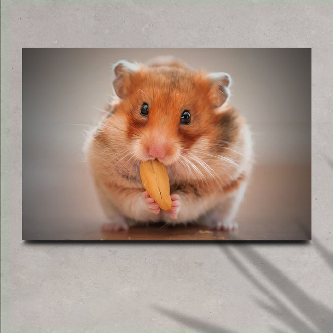 Cutest Hamster Eating Nut Canvas Wall Art by Tailored Canvases