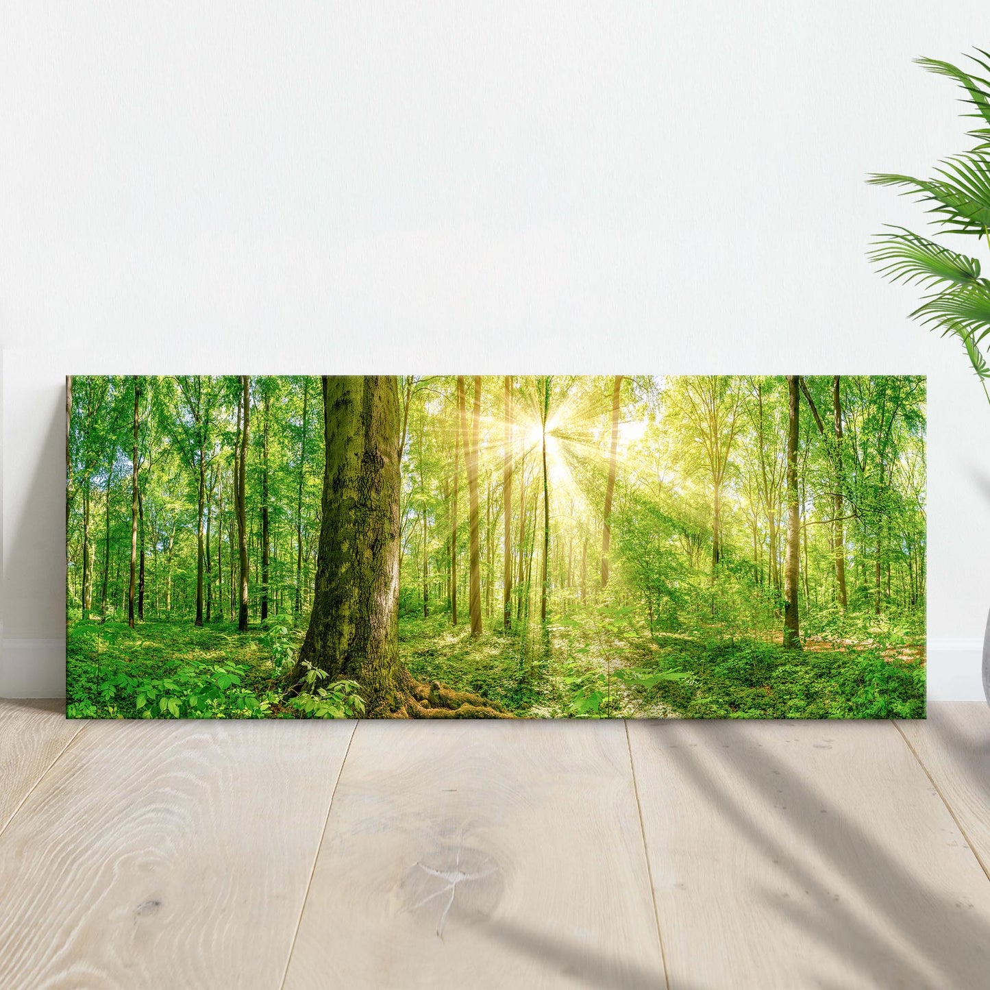 Golden Rays Into The Forest Canvas Wall Art - Image by Tailored Canvases
