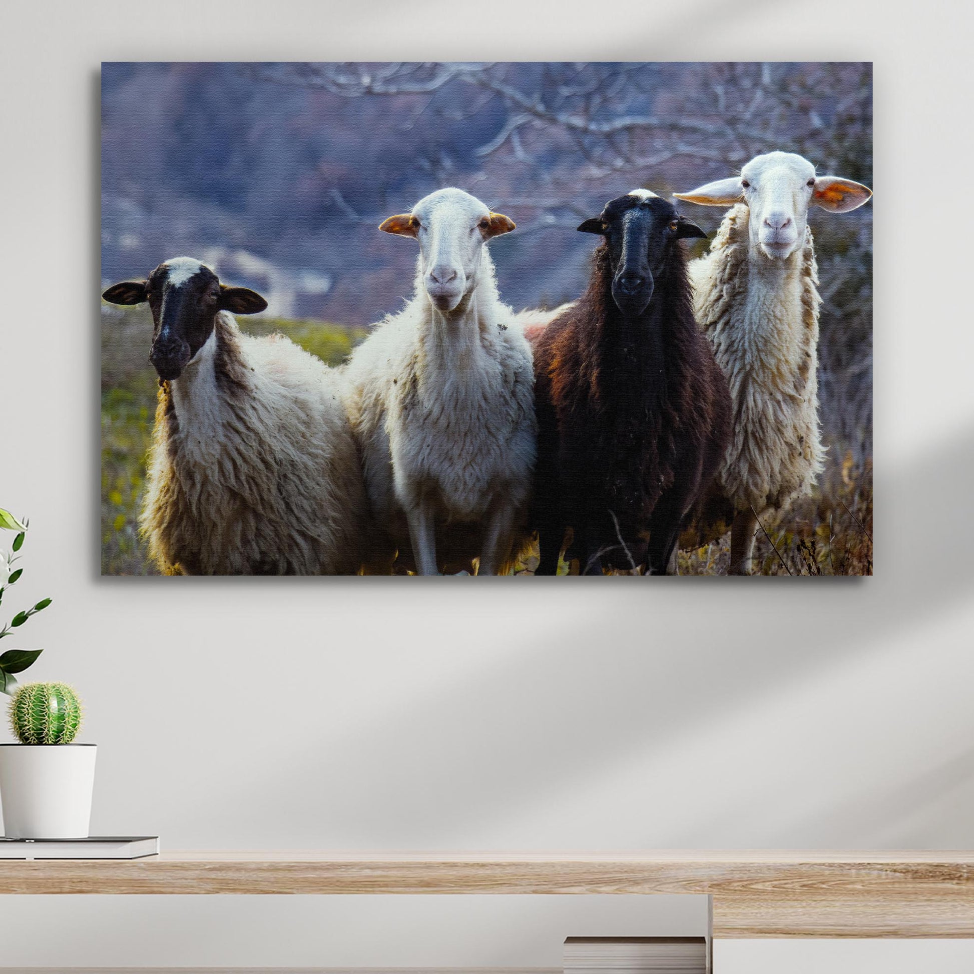 Country Sheep Canvas Wall Art - Image by Tailored Canvases