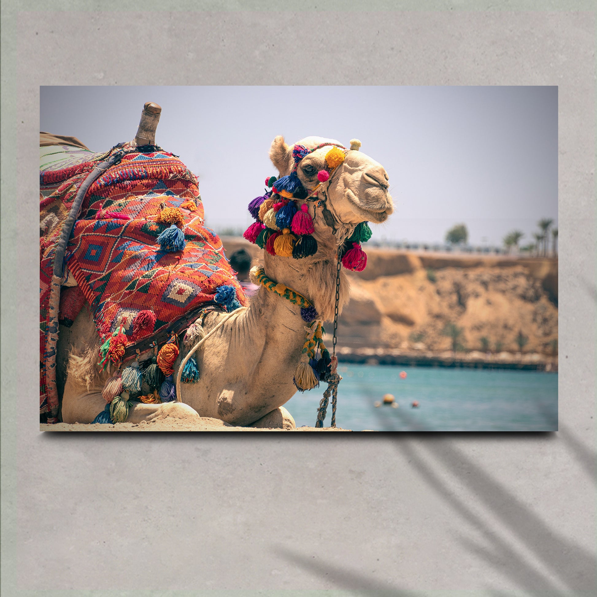 Traditional Camel Canvas Wall Art - Image by Tailored Canvases