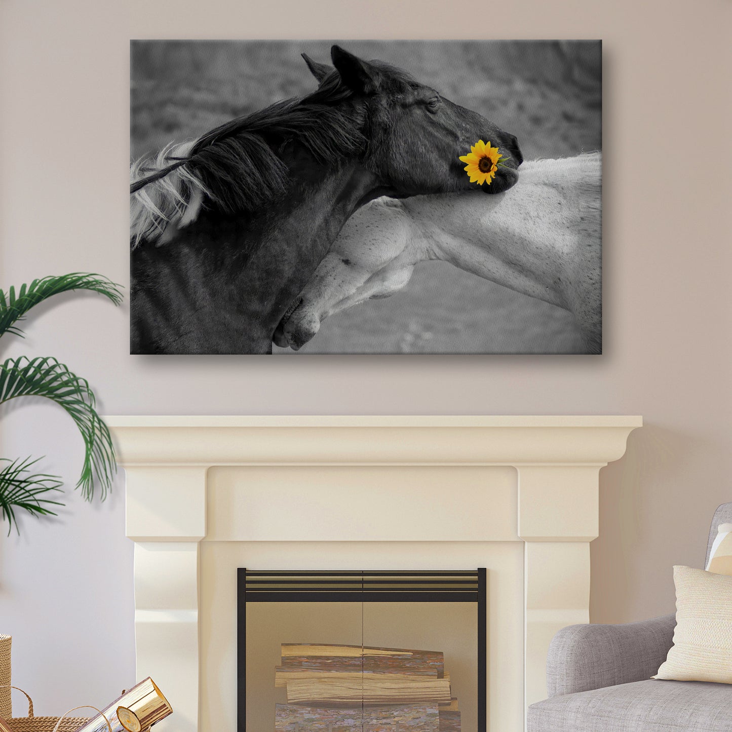 Sweet Black And White Horses Canvas Wall Art - Image by Tailored Canvases