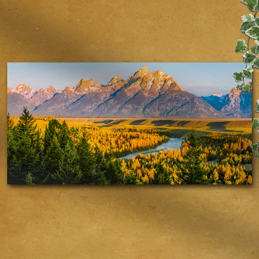 Grand Teton Aspen Trees Canvas Wall Art - Image by Tailored Canvases