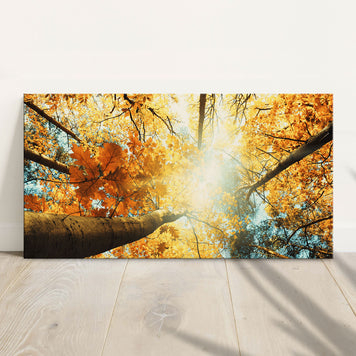 Ground View Autumn Trees Canvas Wall Art