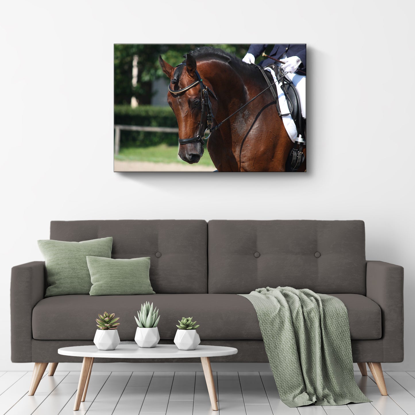 Equestrian Horse Jumping Canvas Wall Art II - Image by Tailored Canvases