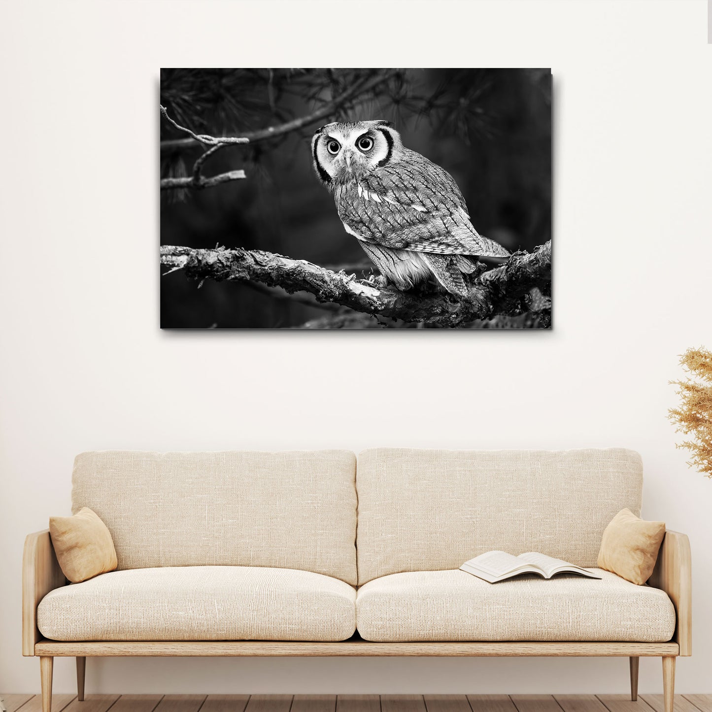 Black And White Owl Canvas Wall Art