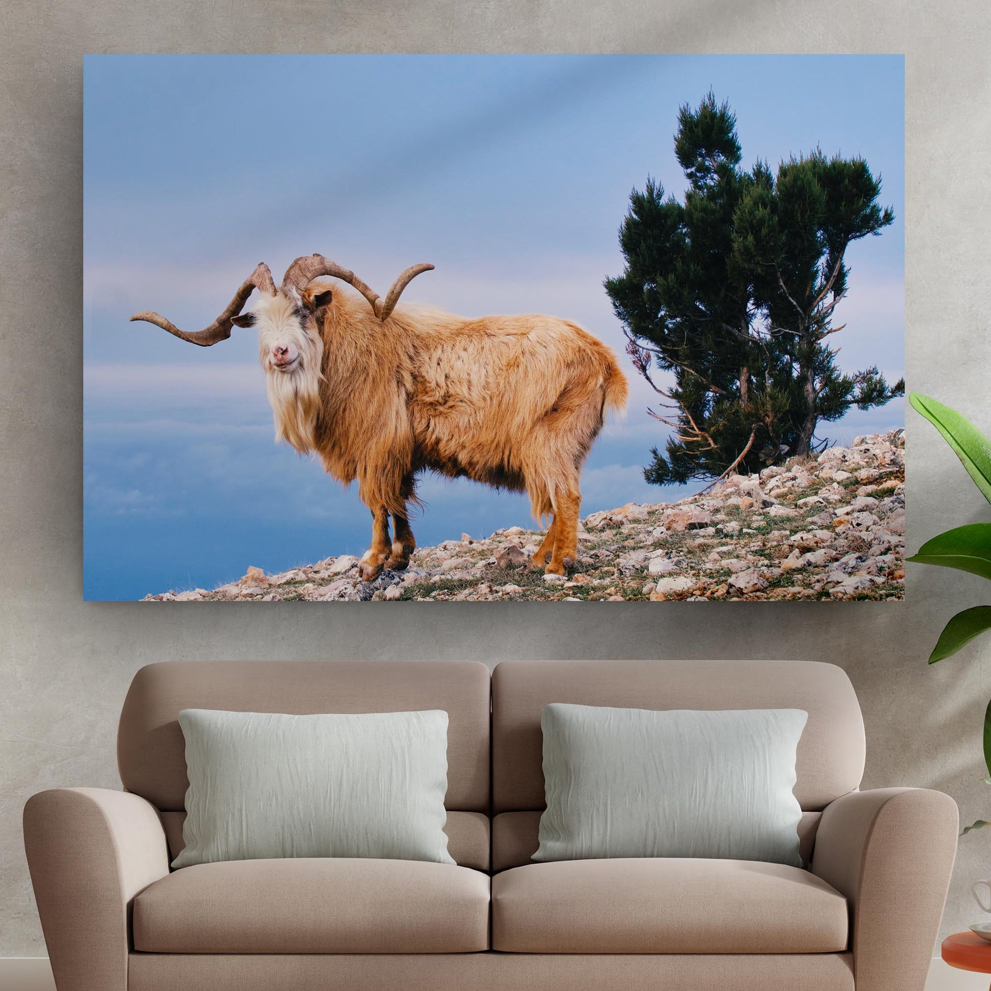 Wild Mountain Goat Canvas Wall Art Style 1 - Image by Tailored Canvases