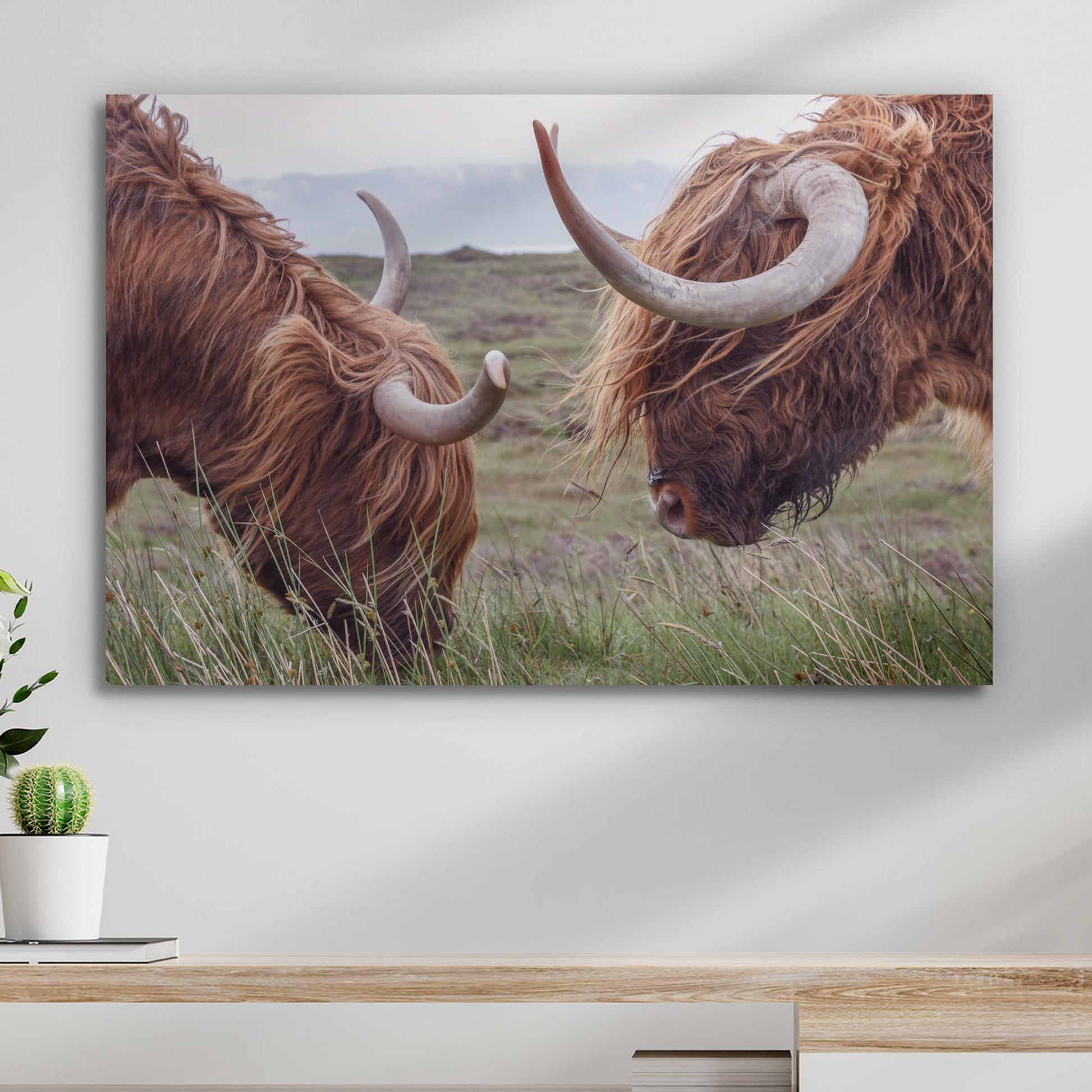 Farmhouse Highland Cow Canvas Wall Art - Image by Tailored Canvases