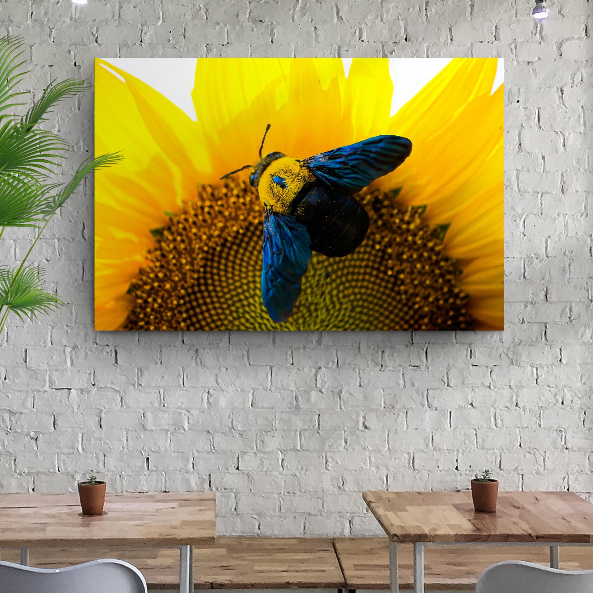 Bee Hoverfly Above A Sunflower Canvas Wall Art - Image by Tailored Canvases
