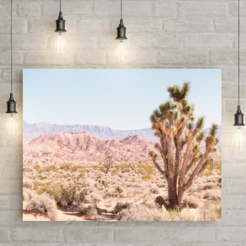 Nevada Desert Joshua Tree Canvas Wall Art