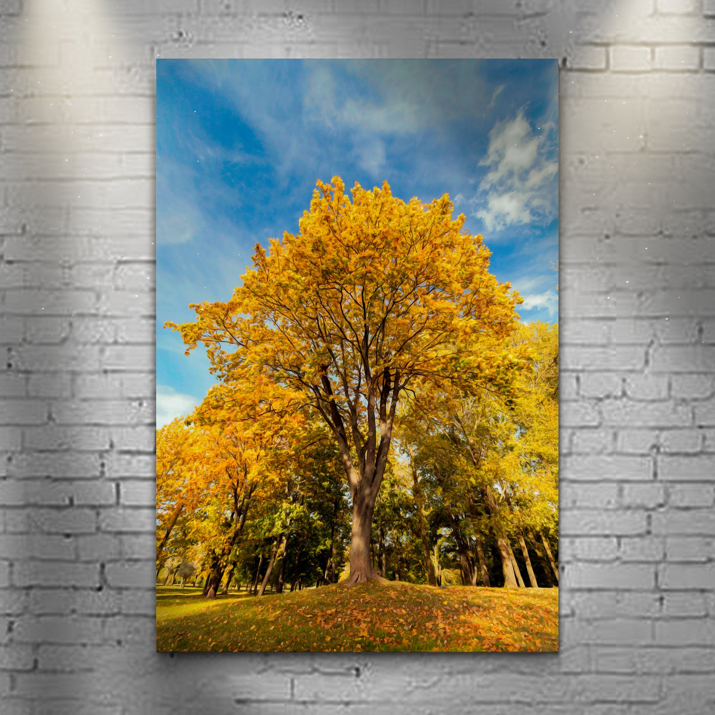 Yellow Maple Tree Canvas Wall Art - Image by Tailored Canvases