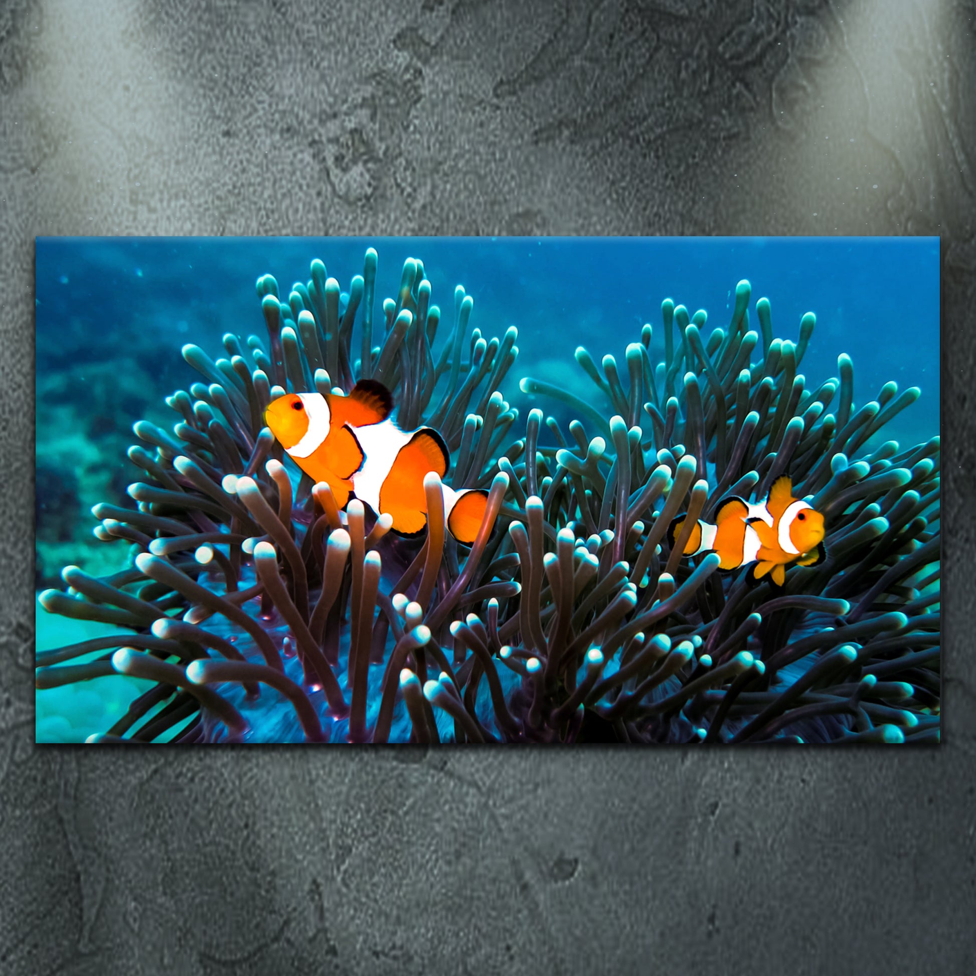 Clownfish And Corals Canvas Wall Art - Image by Tailored Canvases