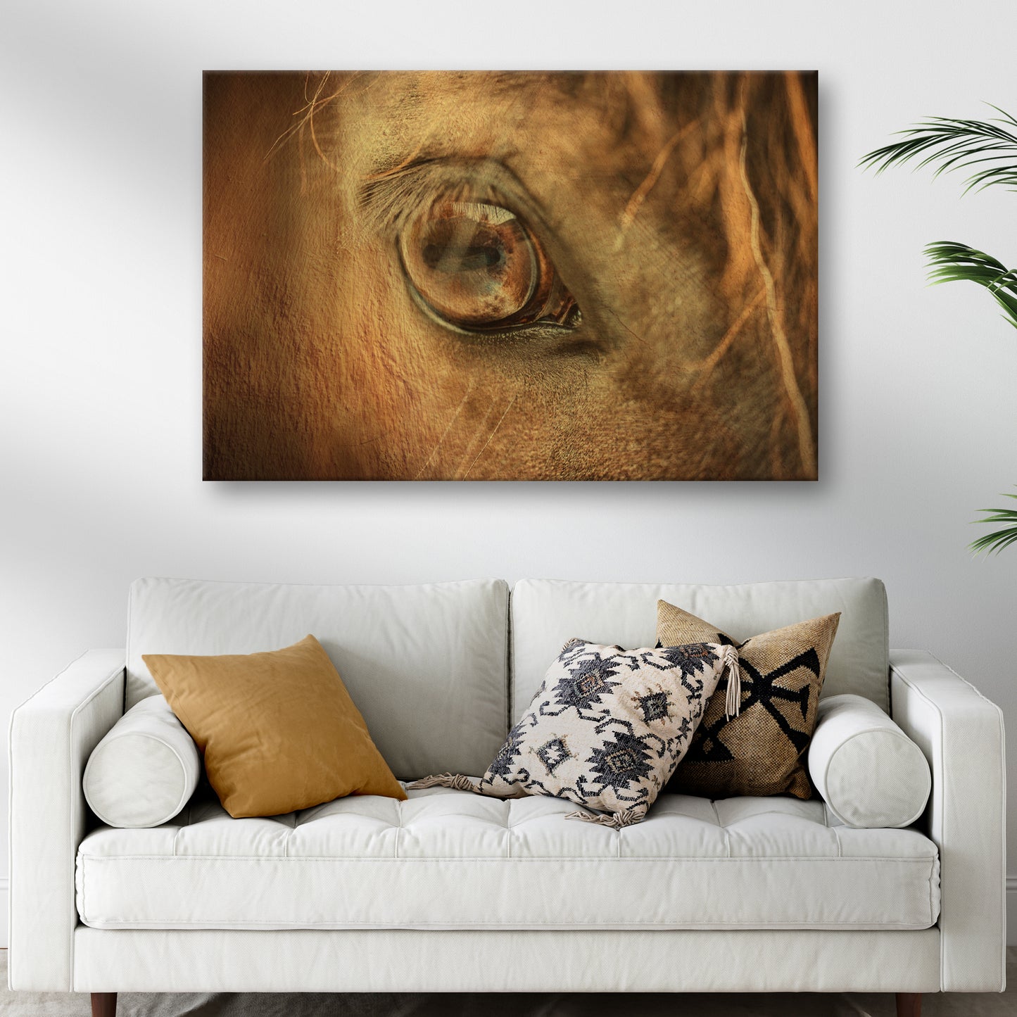 Macro Horse Eye Canvas Wall Art - Image by Tailored Canvases