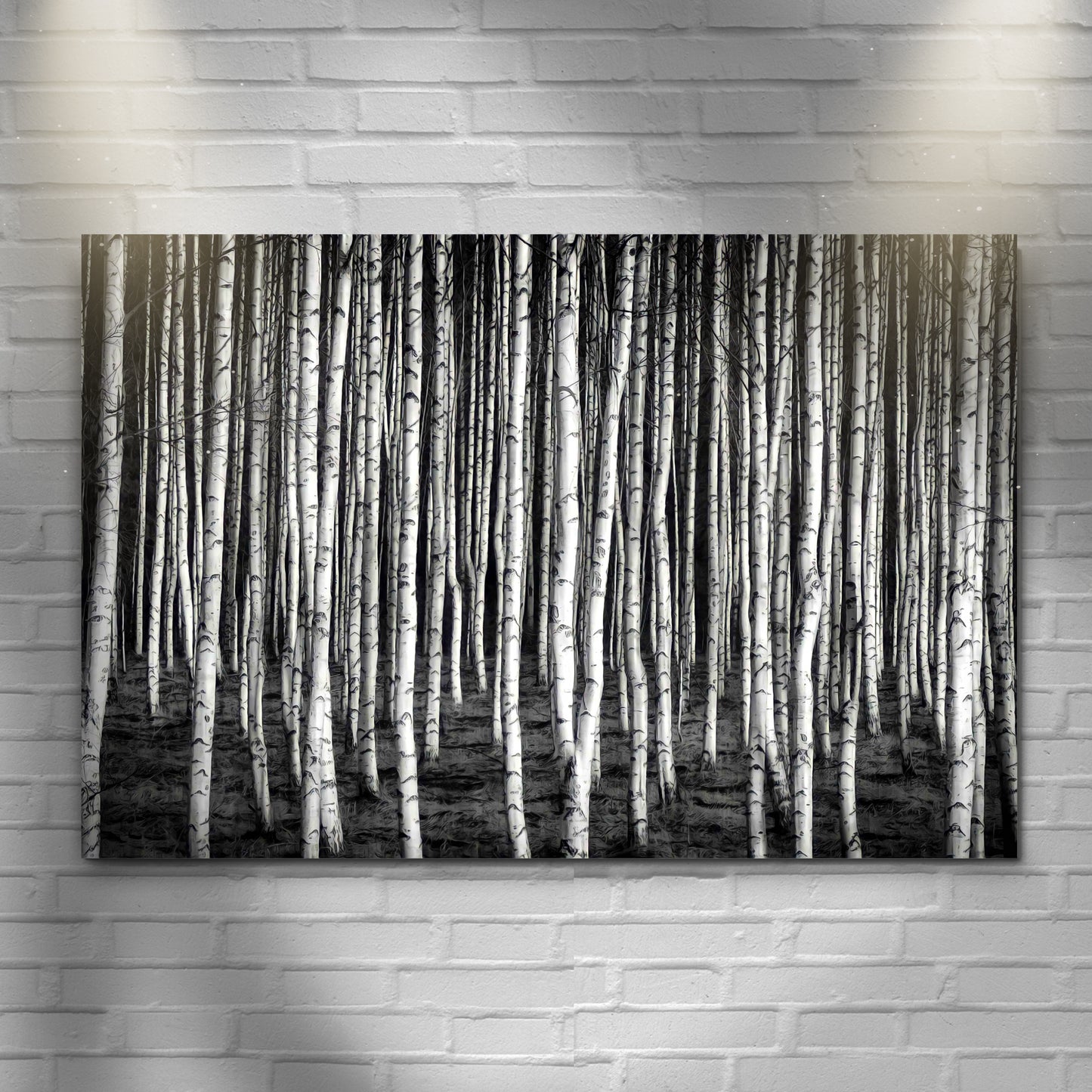 Monochrome Birch Trees Canvas Wall Art - Image by Tailored Canvases