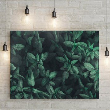 Foliage Of Dark Green Tropical Leaf Canvas Wall Art