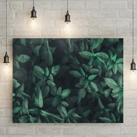 Foliage Of Dark Green Tropical Leaf Canvas Wall Art - Image by Tailored Canvases