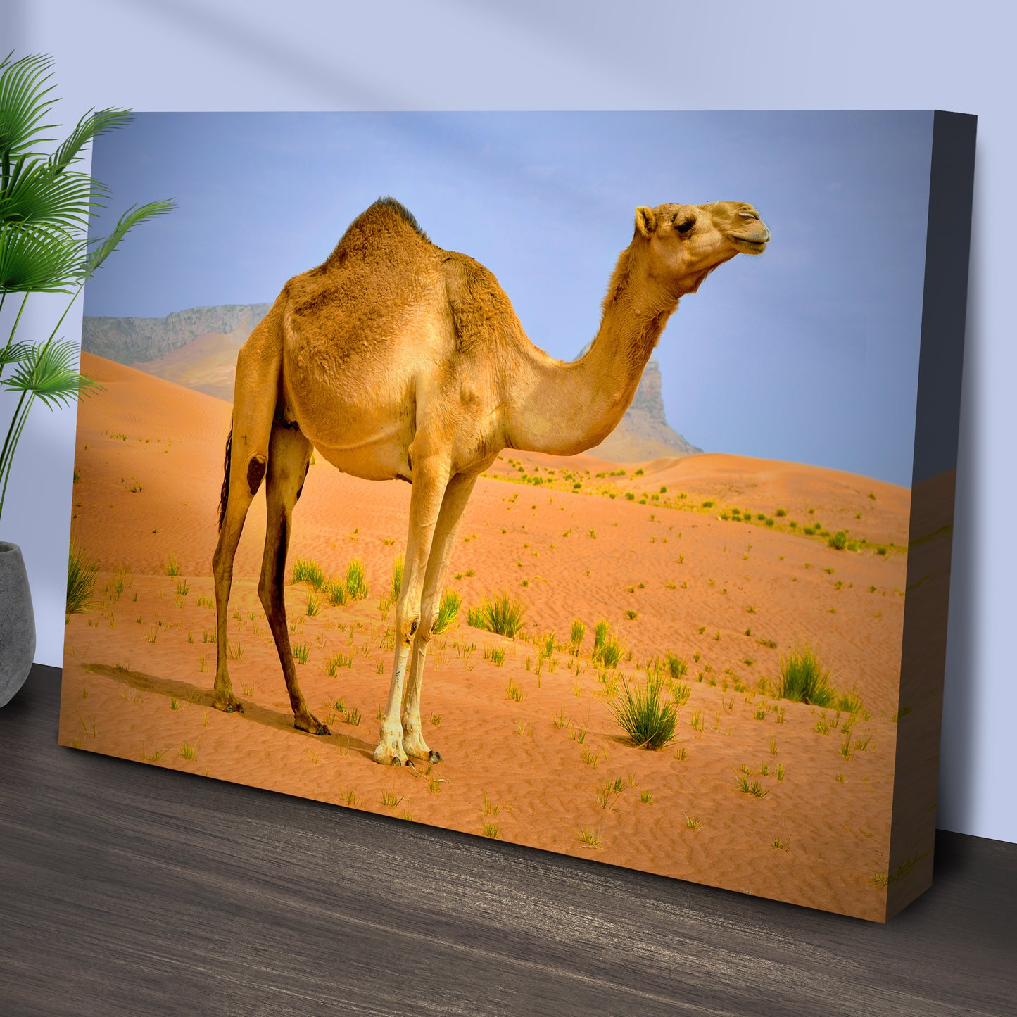 Arabian Camel Canvas Wall Art Style 1 - Image by Tailored Canvases