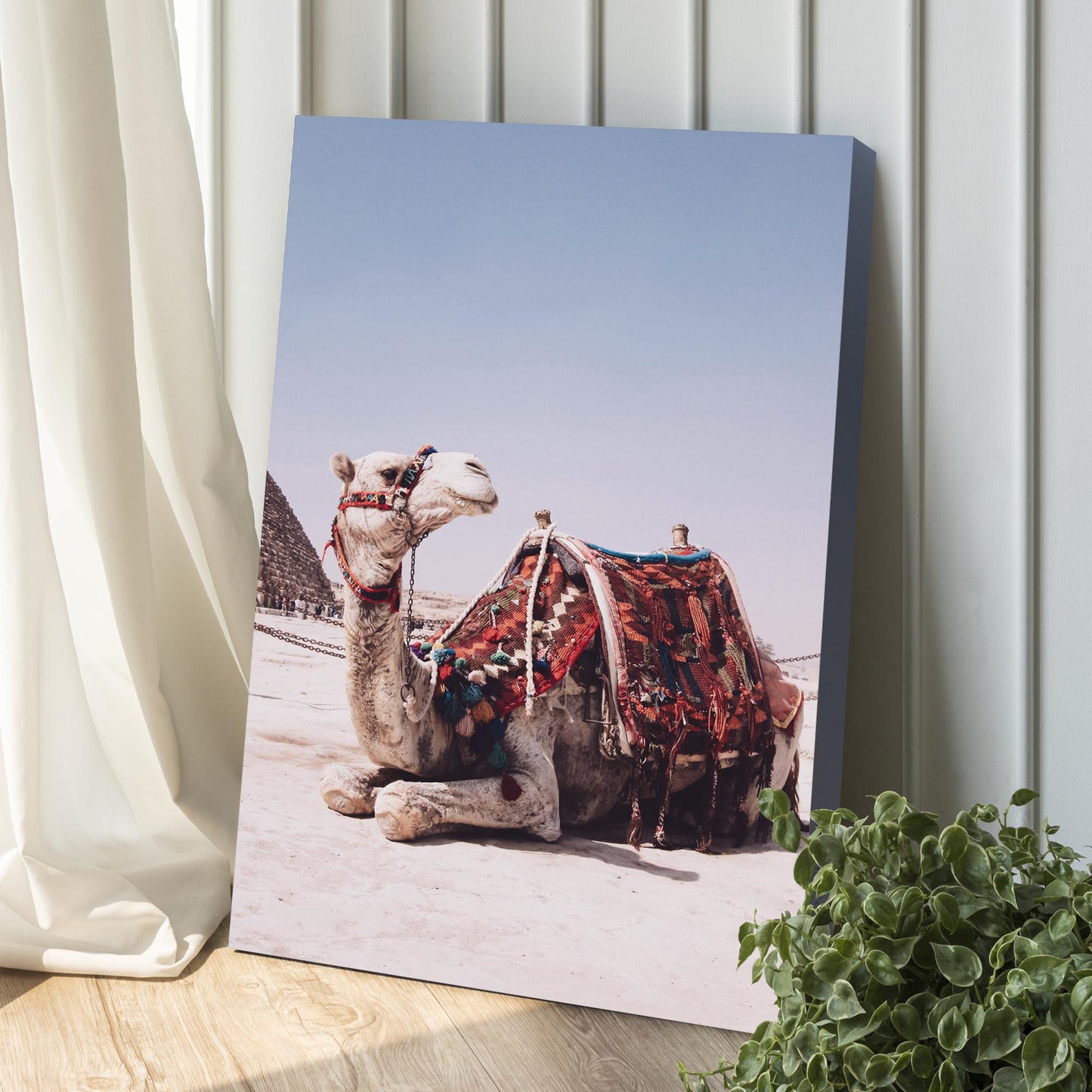 Egypt Camel Canvas Wall Art Style 1 - Image by Tailored Canvases