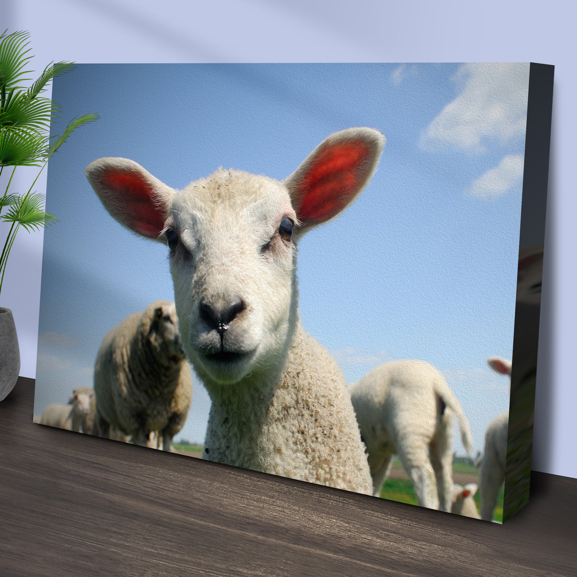 Curious Lamb Canvas Wall Art Style 1 - Image by Tailored Canvases