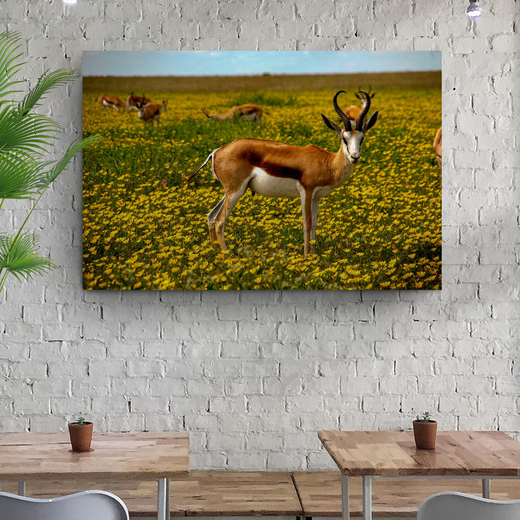 Antelopes in Spring Canvas Wall Art by Tailored Canvases