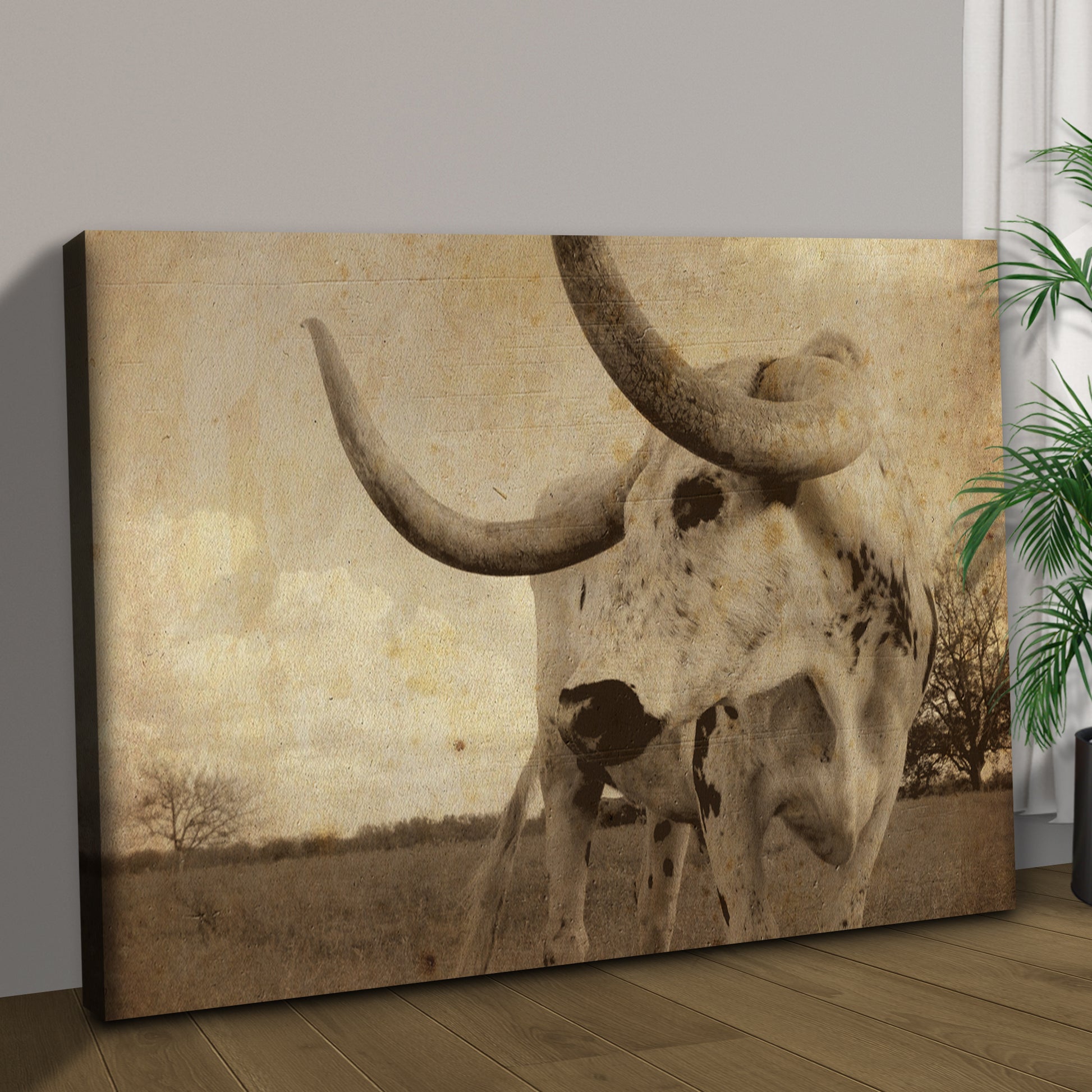 Vintage Longhorn Cattle Canvas Wall Art Style 1 - Image by Tailored Canvases