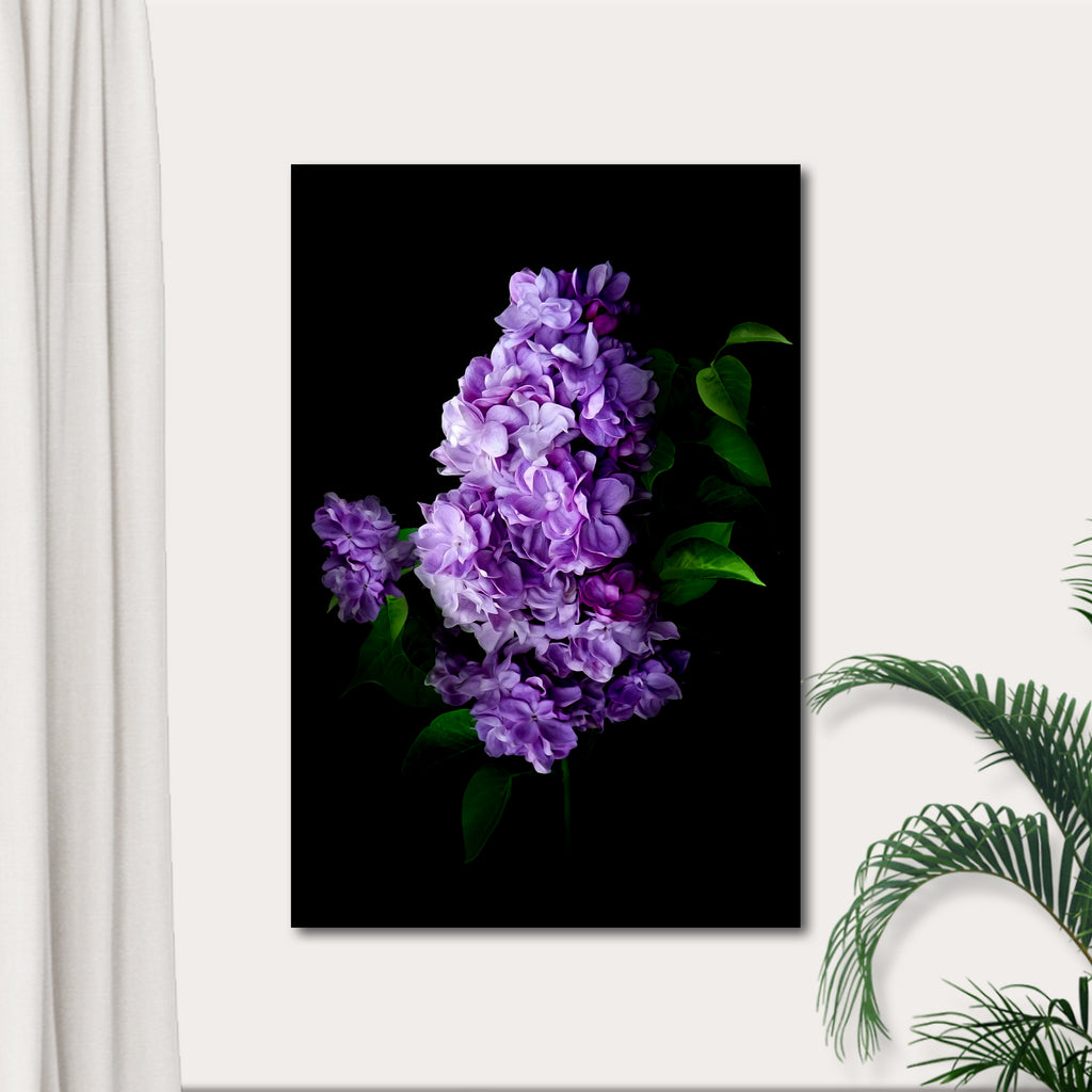 Flowers Lilac In The Dark Canvas Wall Art by Tailored Canvases