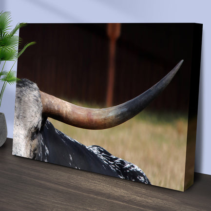 Focused Longhorn Cattle Canvas Wall Art - Image by Tailored Canvases