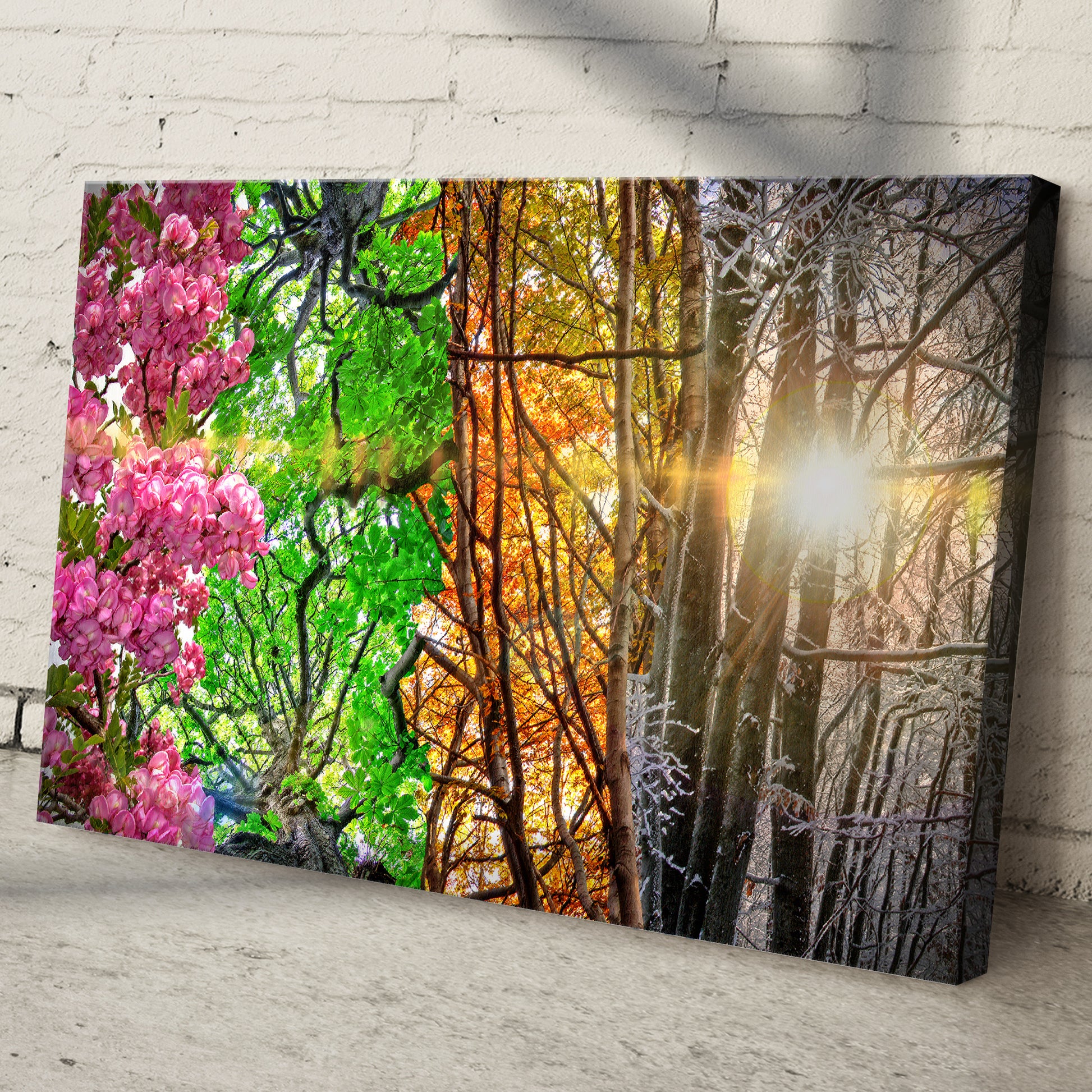 Trees Four Seasons Canvas Wall Art Style 1 - Image by Tailored Canvases