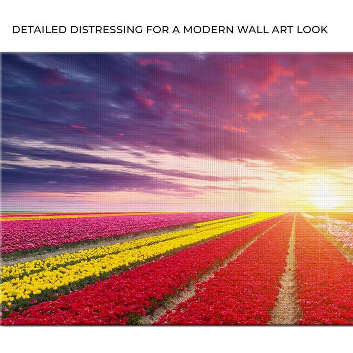 products/TailoredCanvases2_1aee4a56-a08b-4831-a711-c20433c24739.png