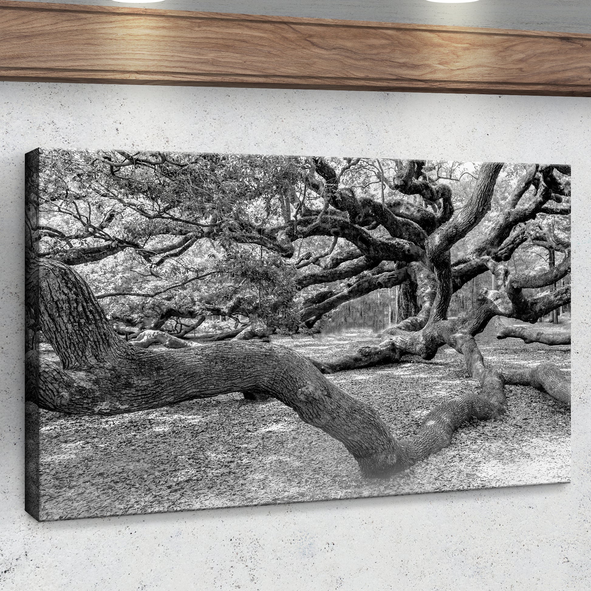 Monochrome Angel Oak Tree Canvas Wall Art II Style 1 - Image by Tailored Canvases