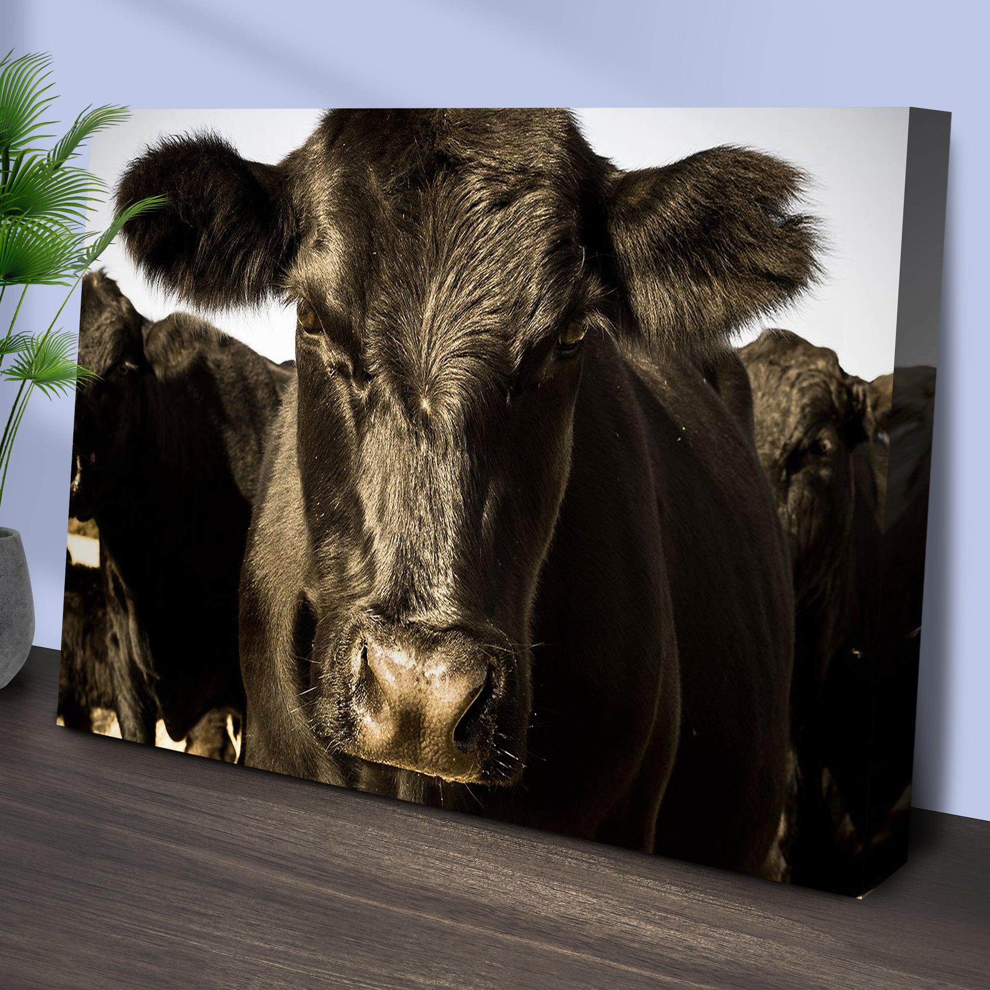 Black Angus Bull Canvas Wall Art Style 1 - Image by Tailored Canvases
