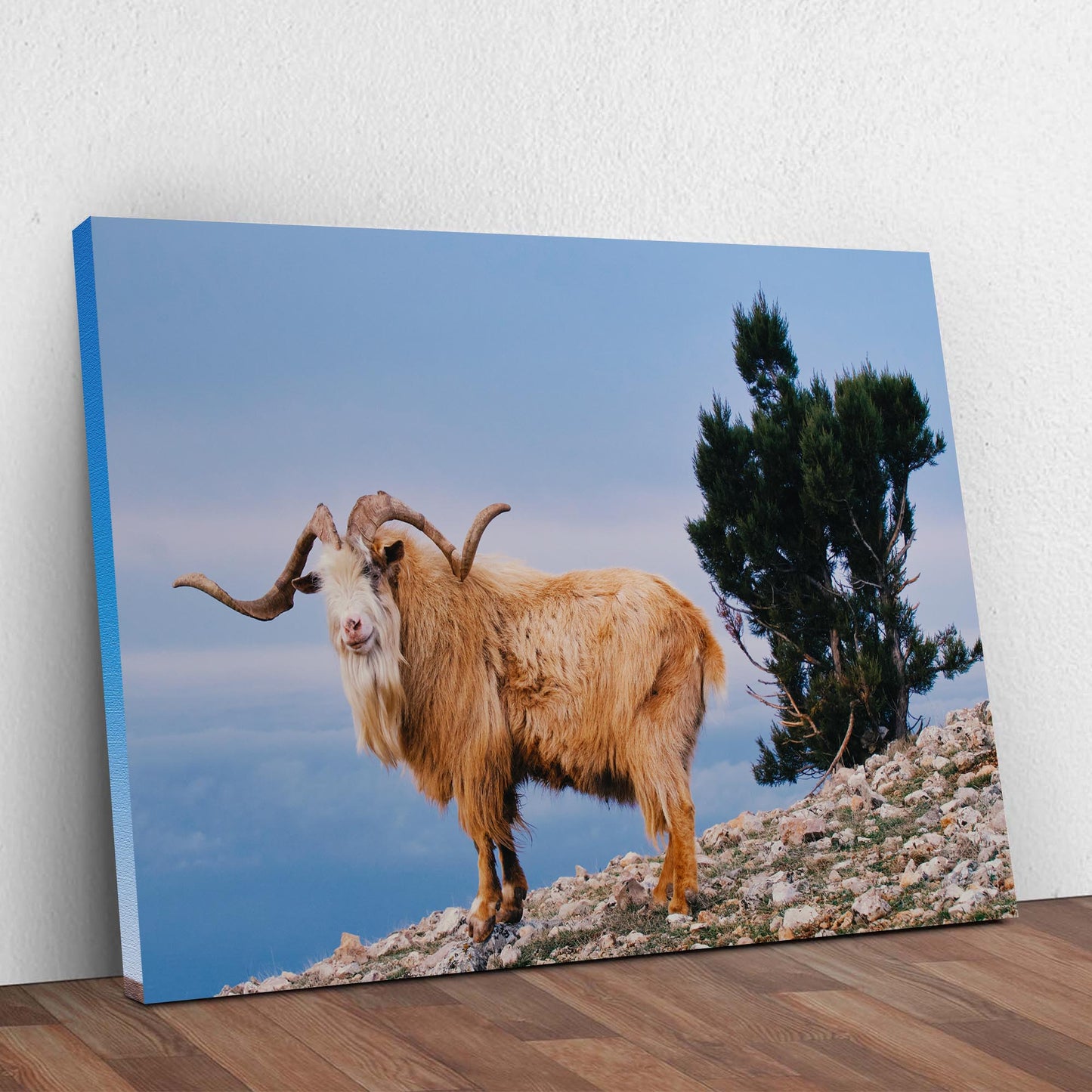 Wild Mountain Goat Canvas Wall Art Style 2 - Image by Tailored Canvases