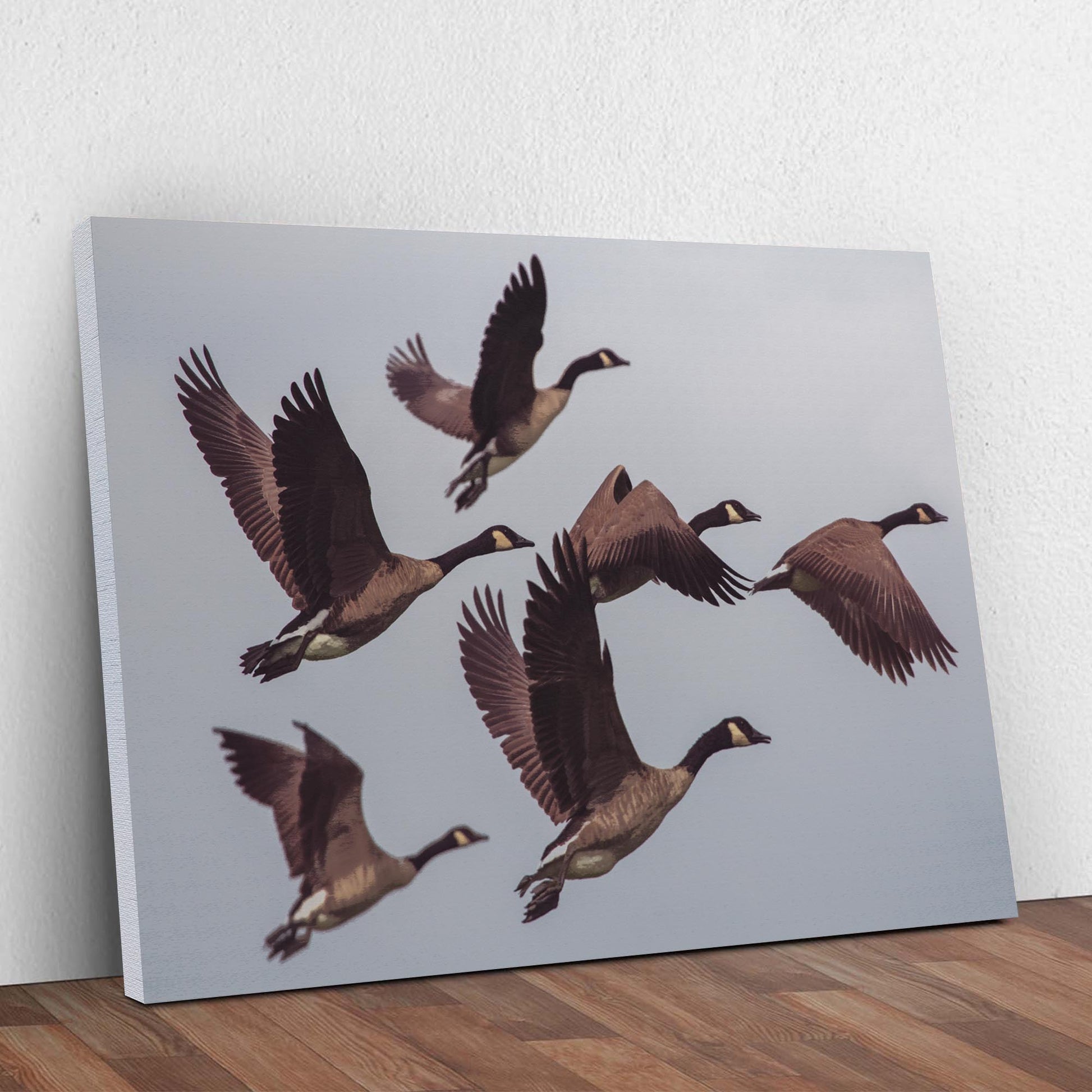 Canadian Geese Canvas Wall Art Style 1 - Image by Tailored Canvases