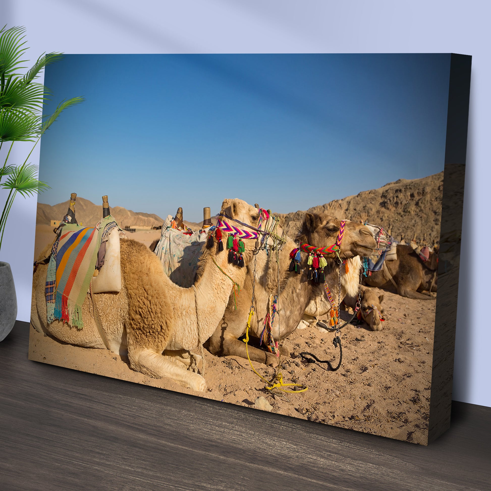 Camels In Sinai Desert Canvas Wall Art II Style 2 - Image by Tailored Canvases