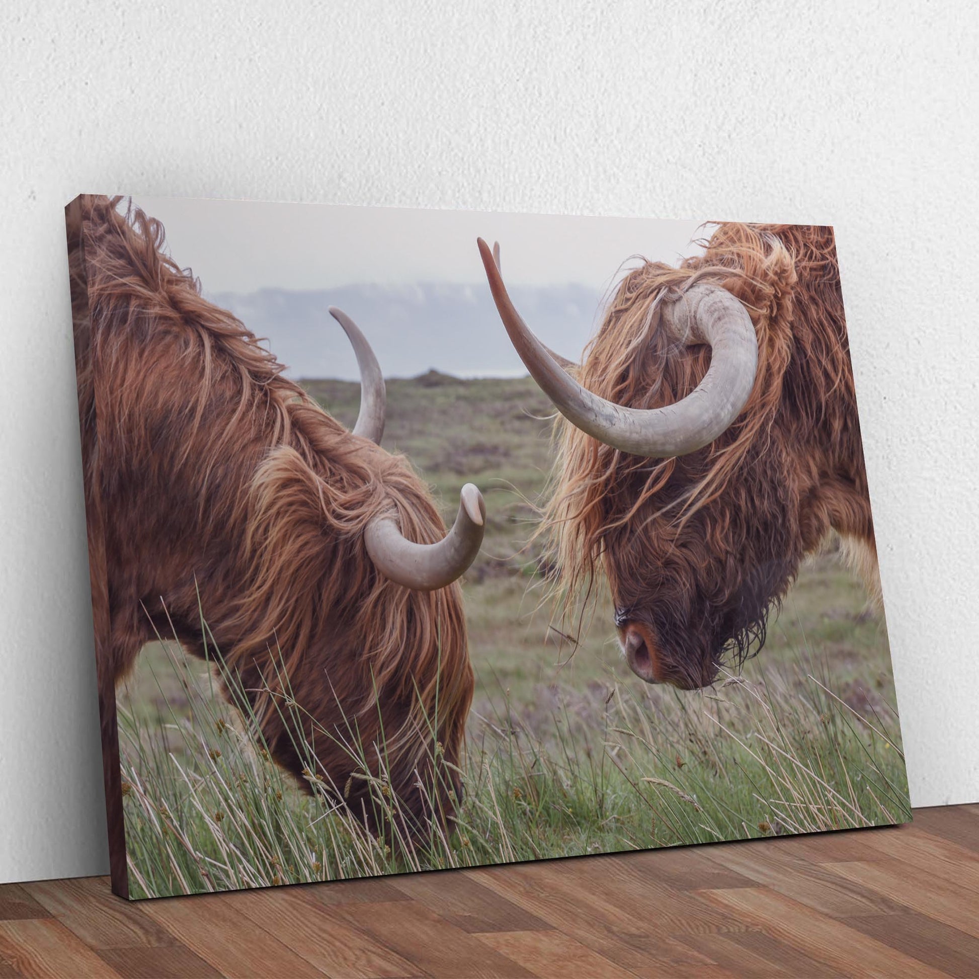 Farmhouse Highland Cow Canvas Wall Art Style 1 - Image by Tailored Canvases