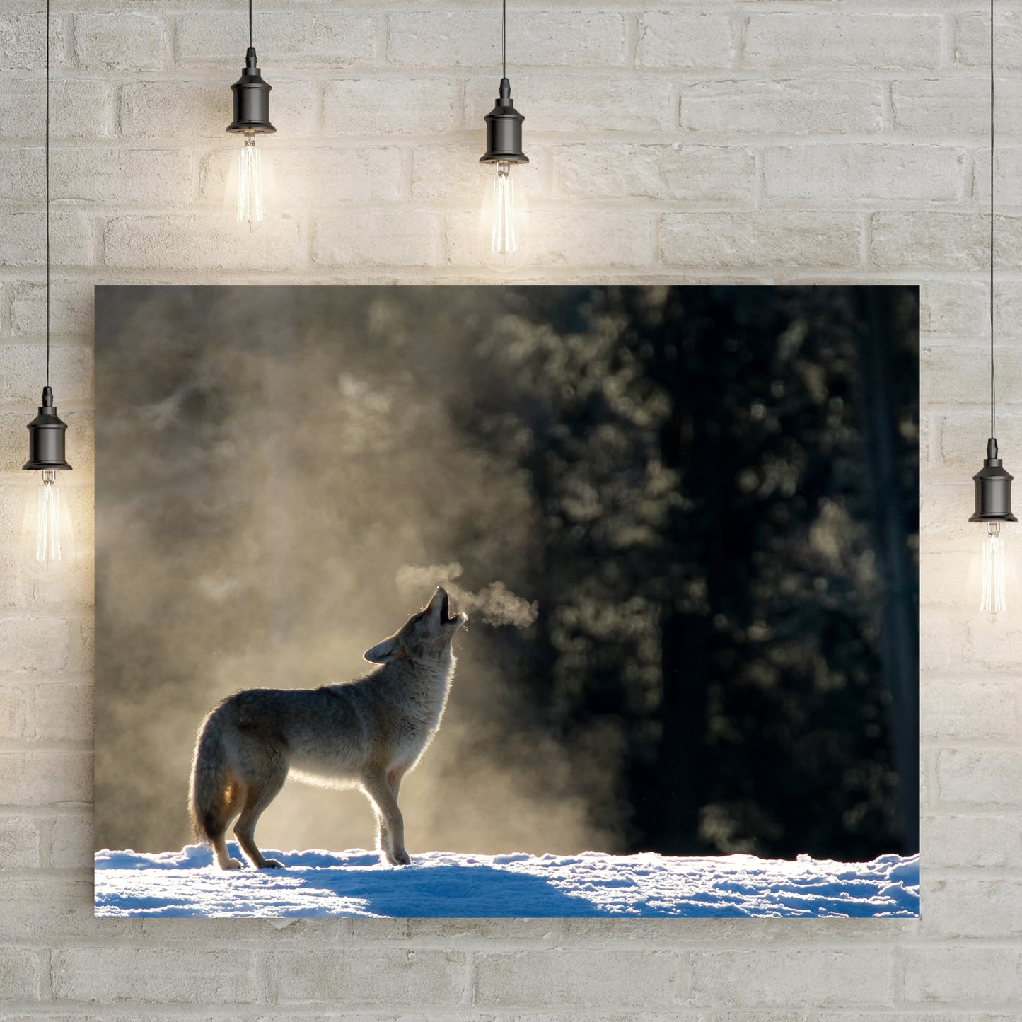 Animals Forest Coyote Howling Canvas Wall Art Style 1 - by Tailored Canvases