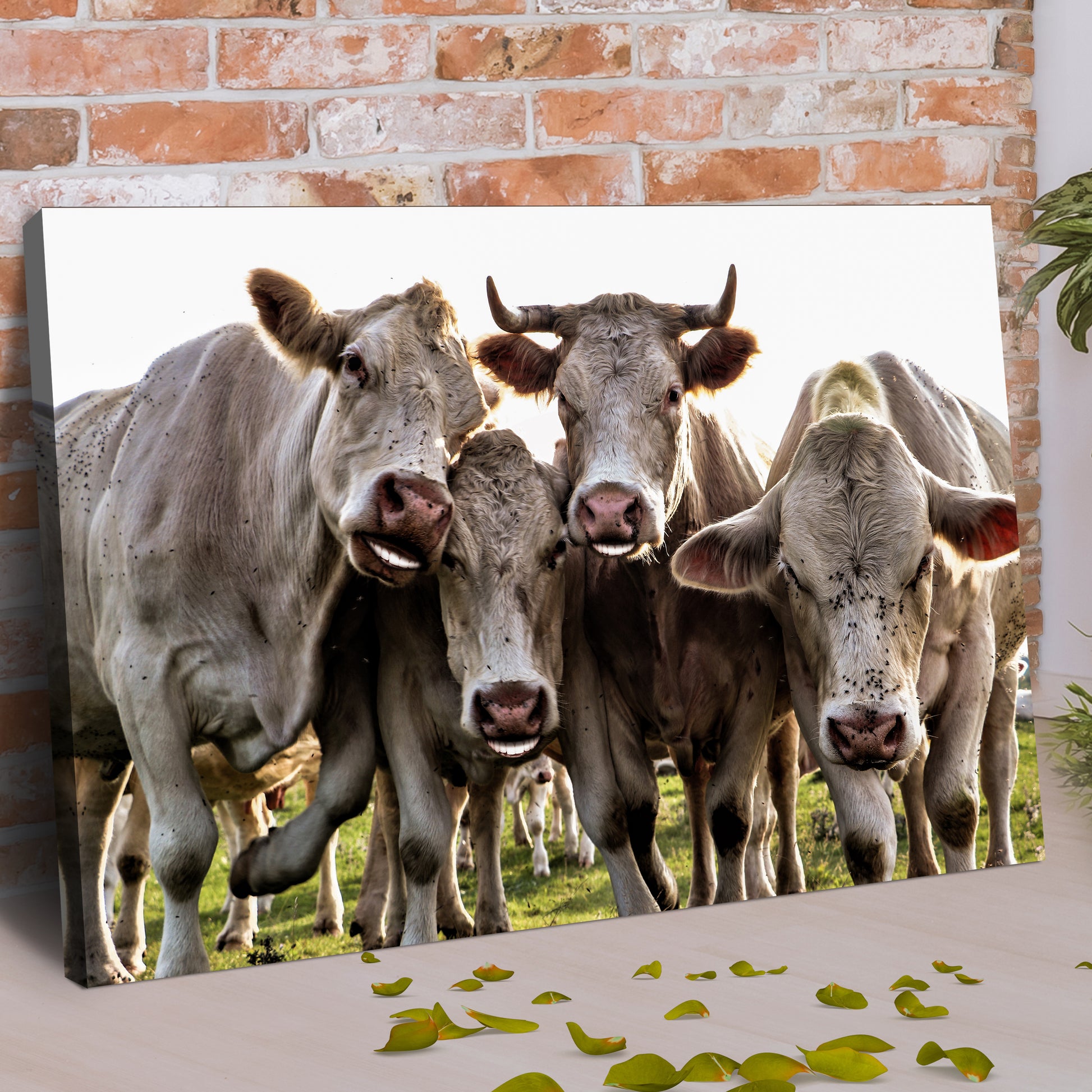 Happy Cows Canvas Wall Art Style 1 - Image by Tailored Canvases