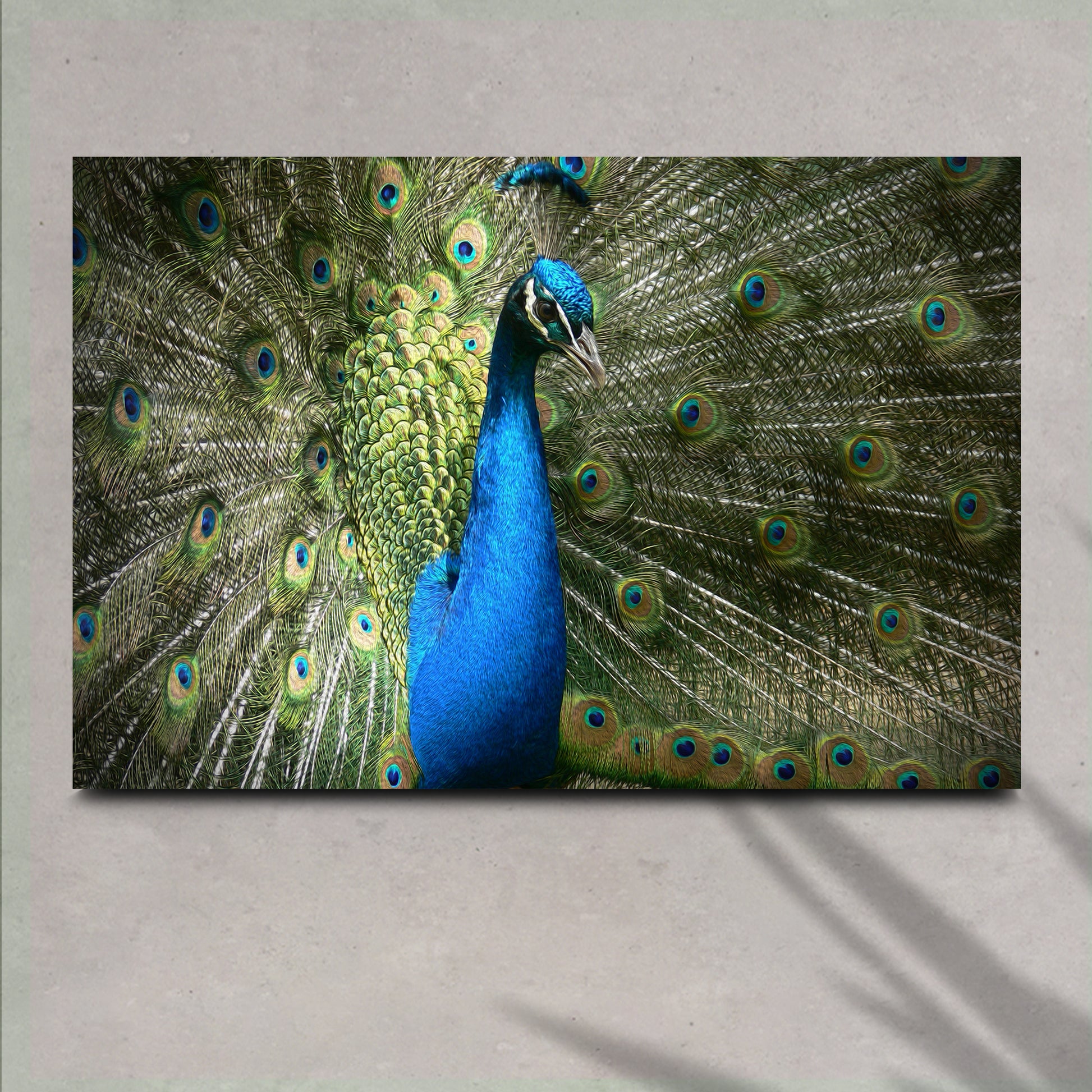 Peacock Up Close Canvas Wall Art Style 1 - Image by Tailored Canvases