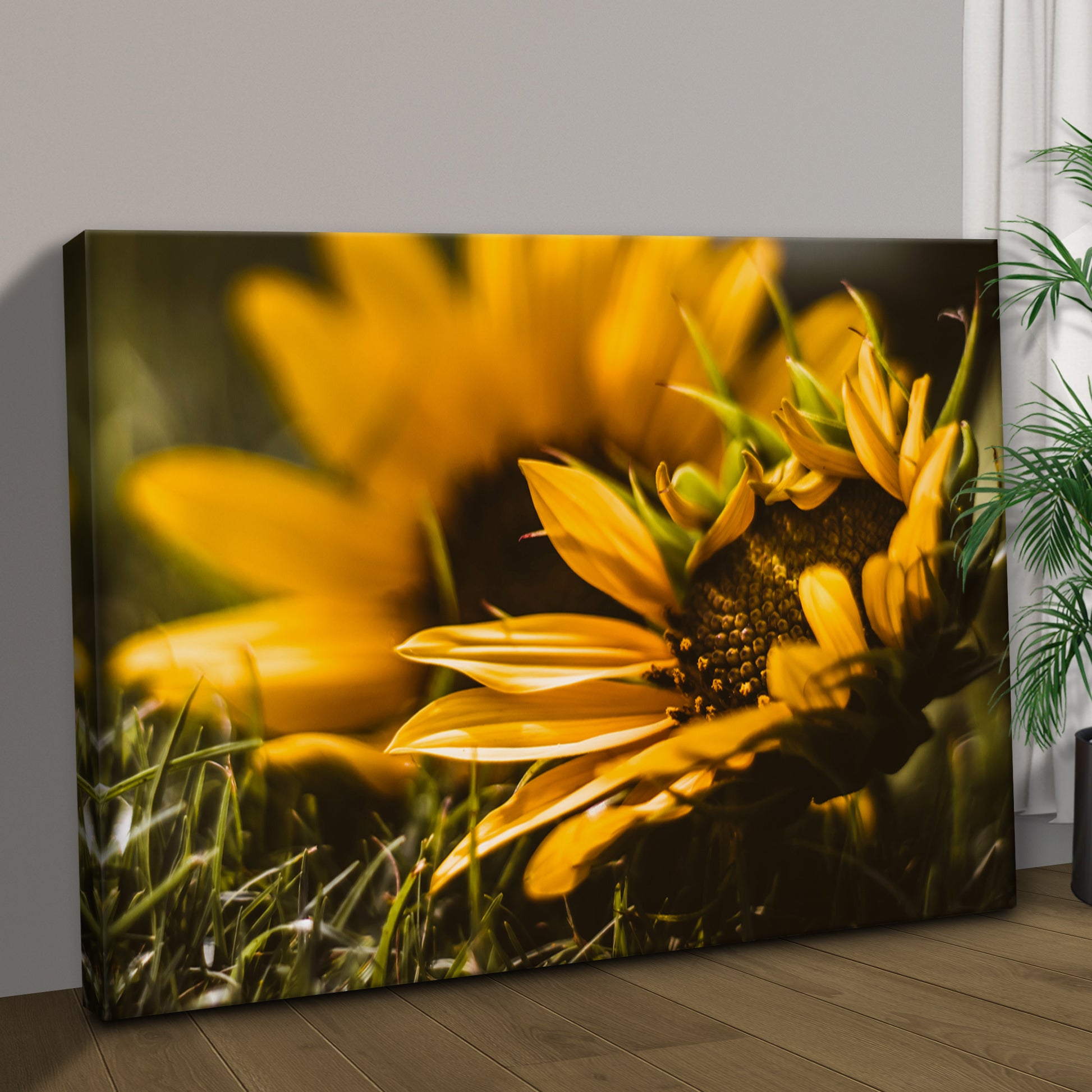 Macro Sunflower Canvas Wall Art Style 1 - Image by Tailored Canvases