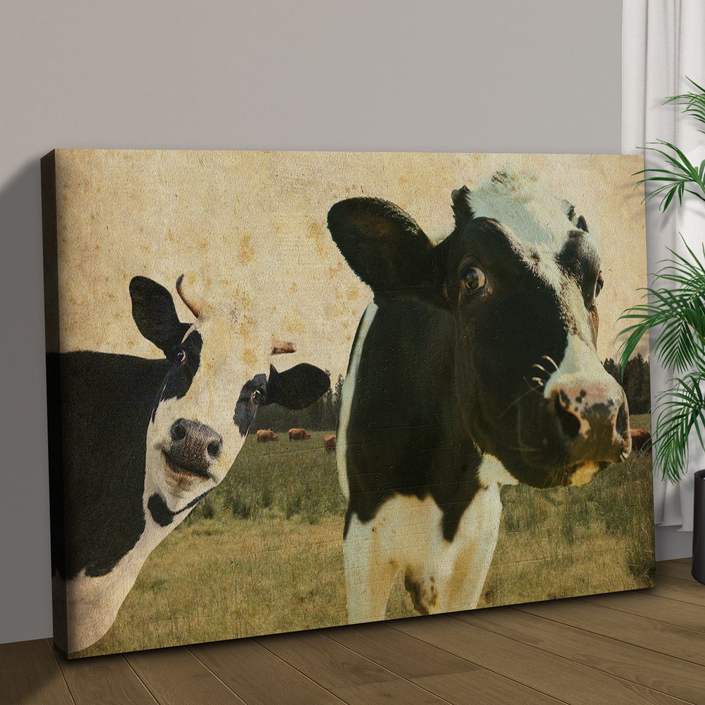 Rustic Curious Cows Canvas Wall Art Style 1 - Image by Tailored Canvases