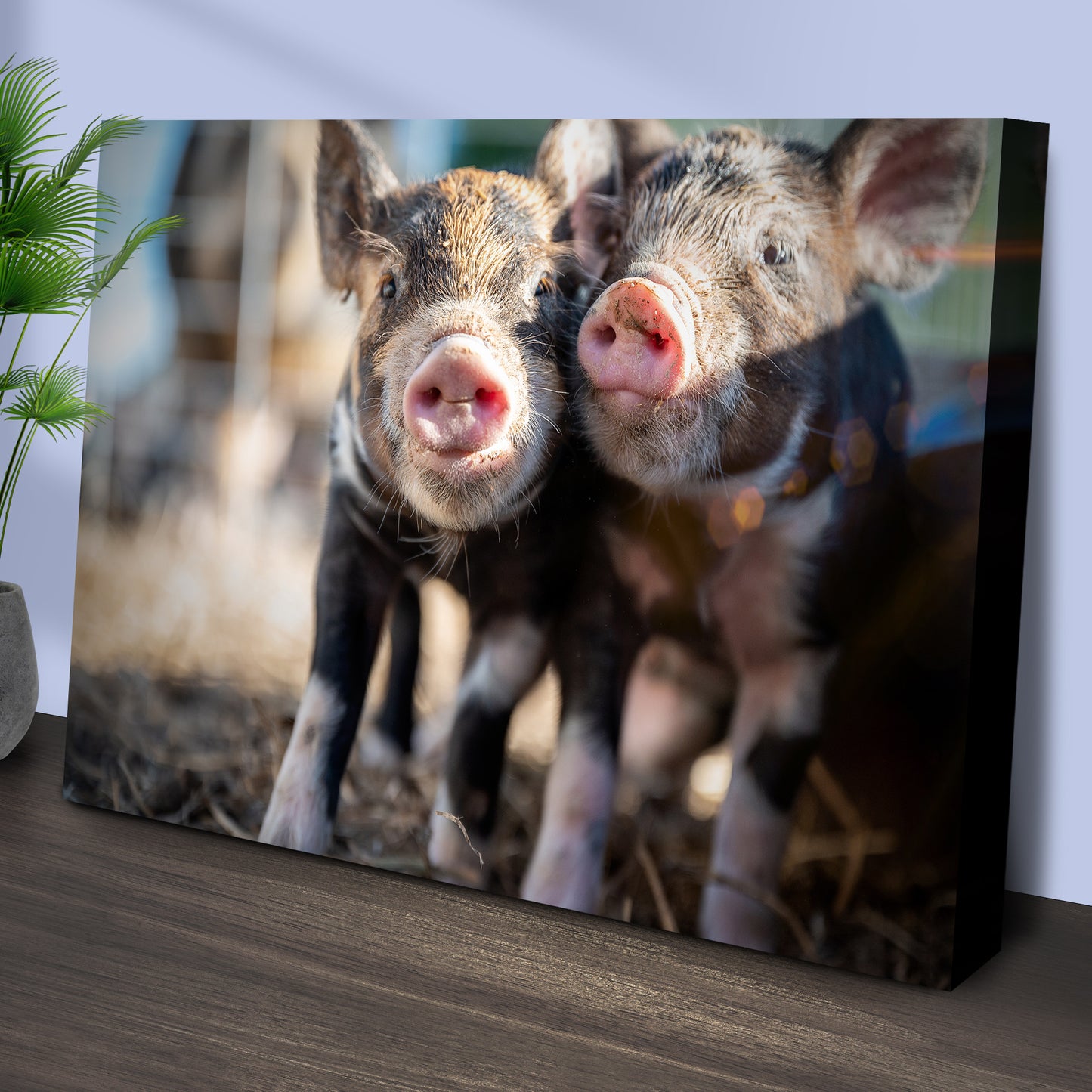 Adorable Piglets Canvas Wall Art Style 1 - Image by Tailored Canvases