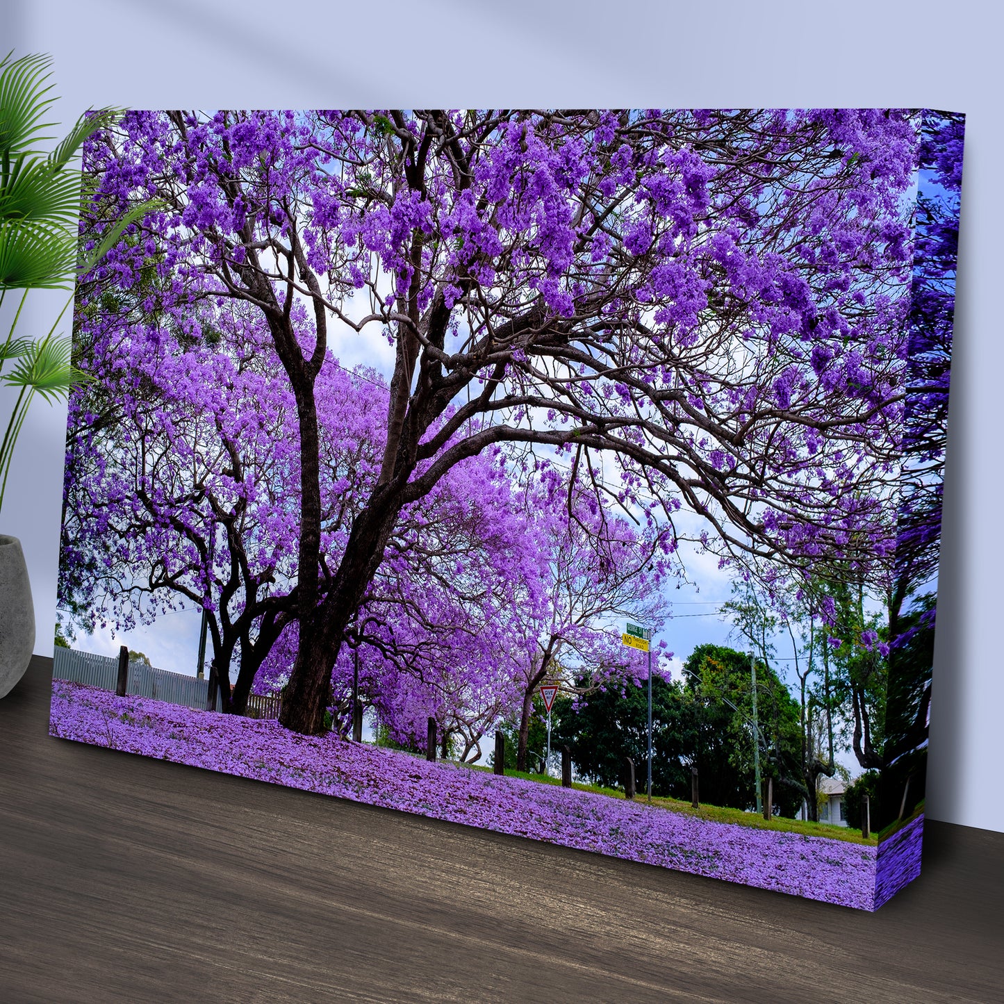 Jacaranda Trees Canvas Wall Art Style 1 - Image by Tailored Canvases