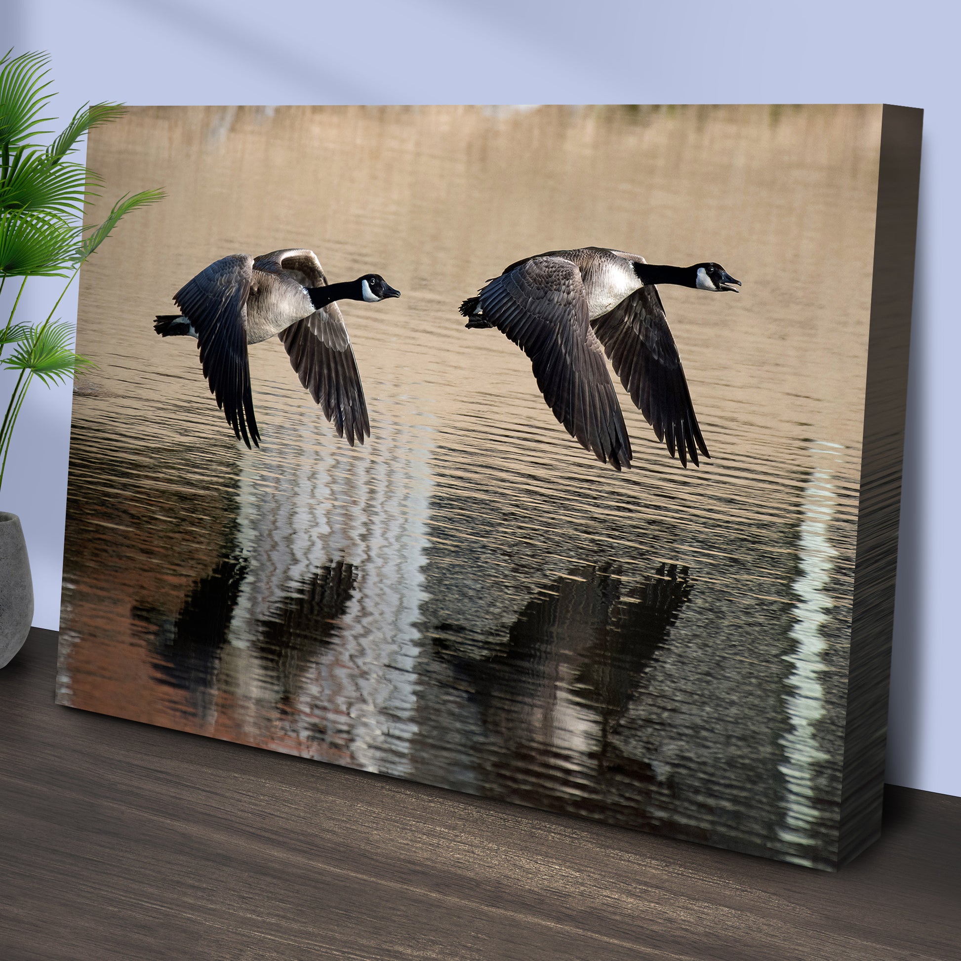 Low Flying Geese Canvas Wall Art Style 1 - Image by Tailored Canvases