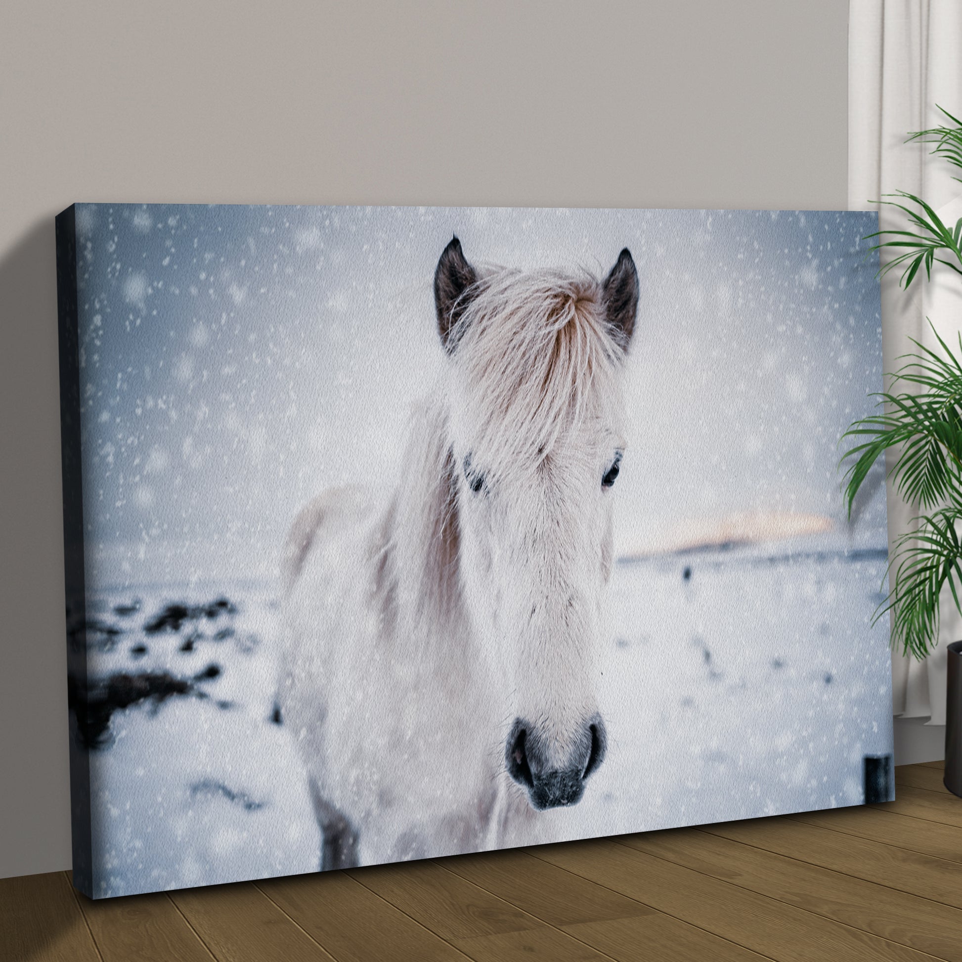 Winter White Horse Canvas Wall Art Style 1 - Image by Tailored Canvases