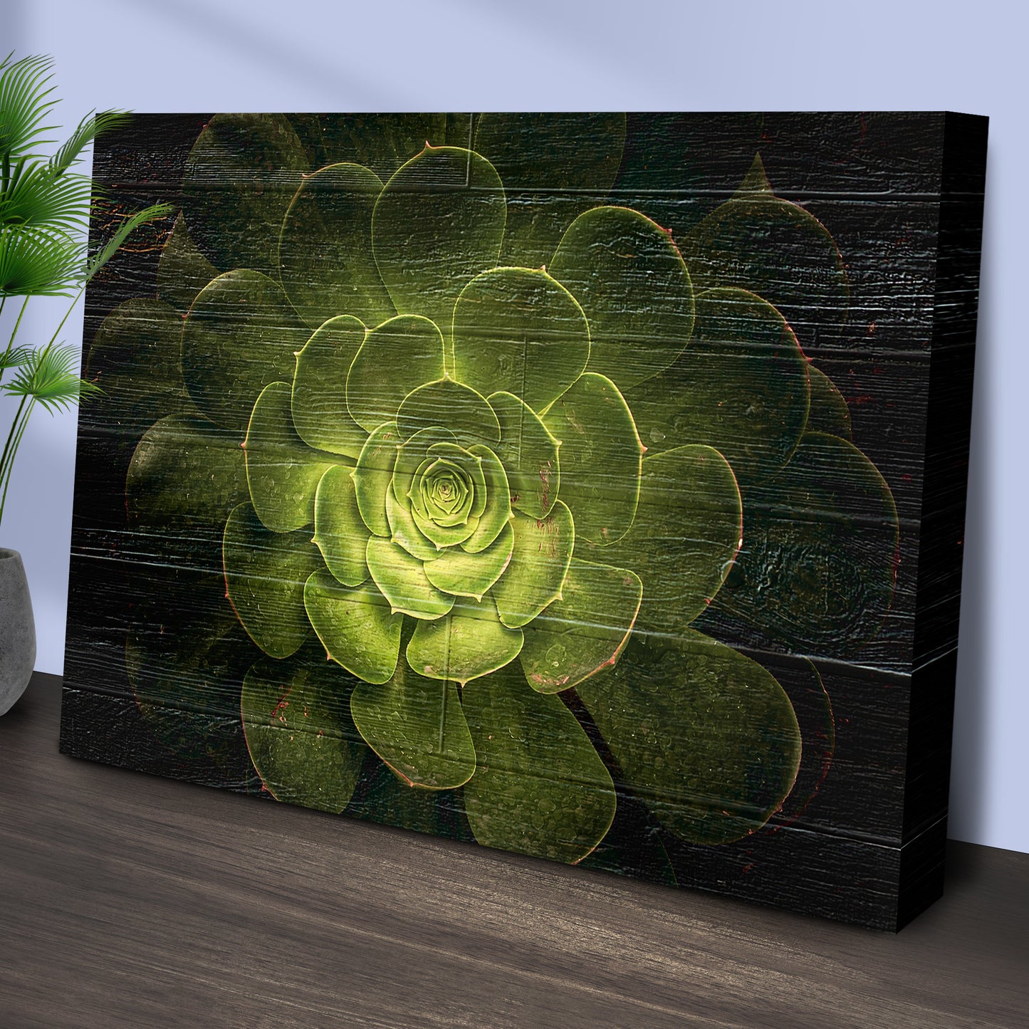 Succulent In Macro Lens Canvas Wall Art Style 1 - Image by Tailored Canvases
