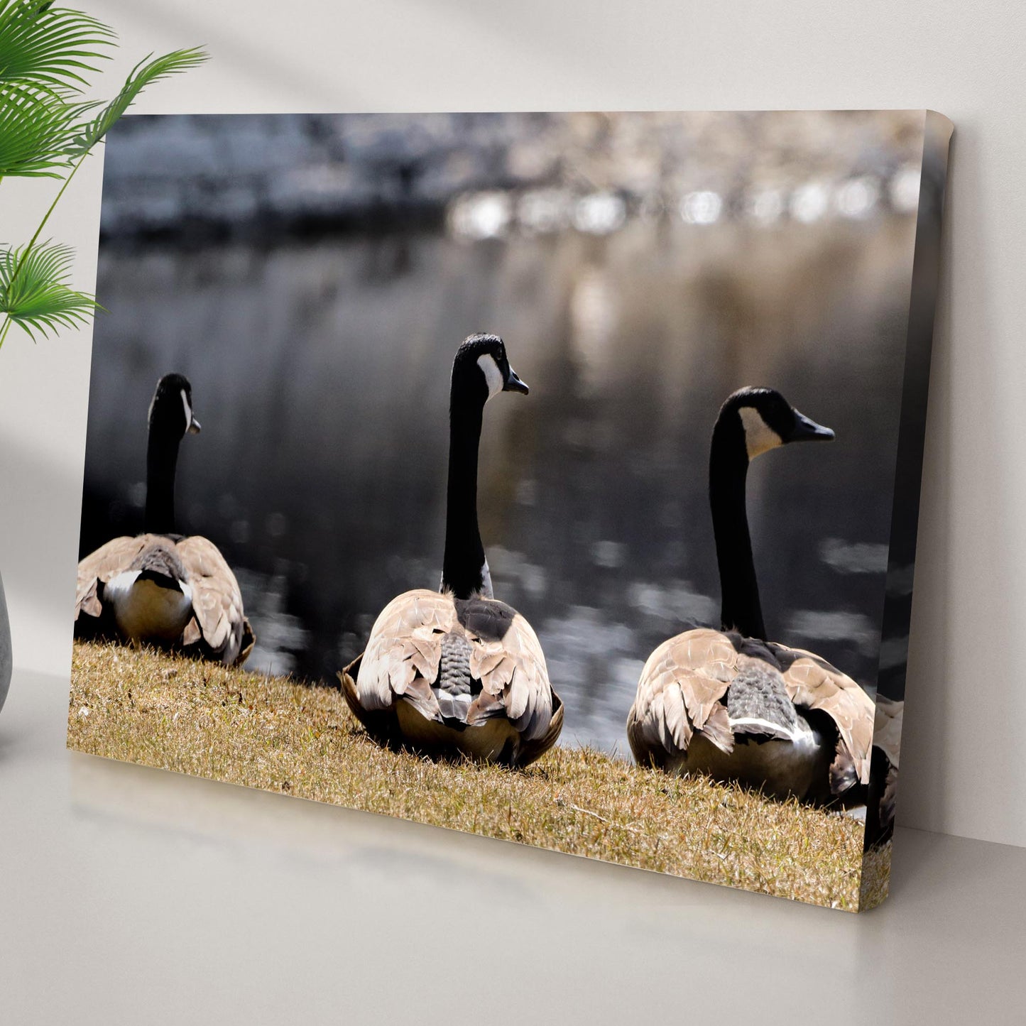 Resting Canadian Geese Canvas Wall Art Style 1 - Image by Tailored Canvases