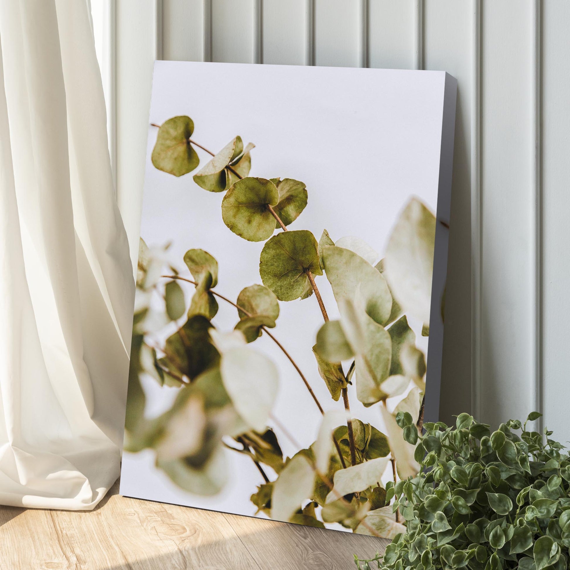 Dried Eucalyptus Canvas Wall Art Style 1 - Image by Tailored Canvases